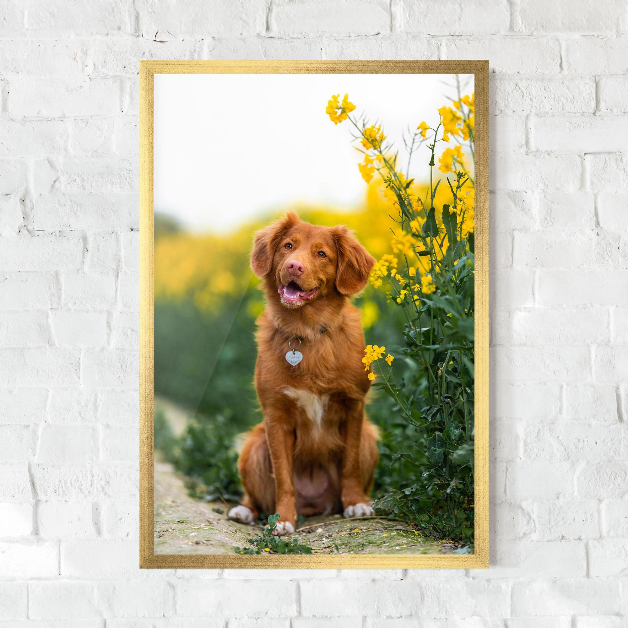 Poster Înrămat Dog Yellow Flowers mockup 0