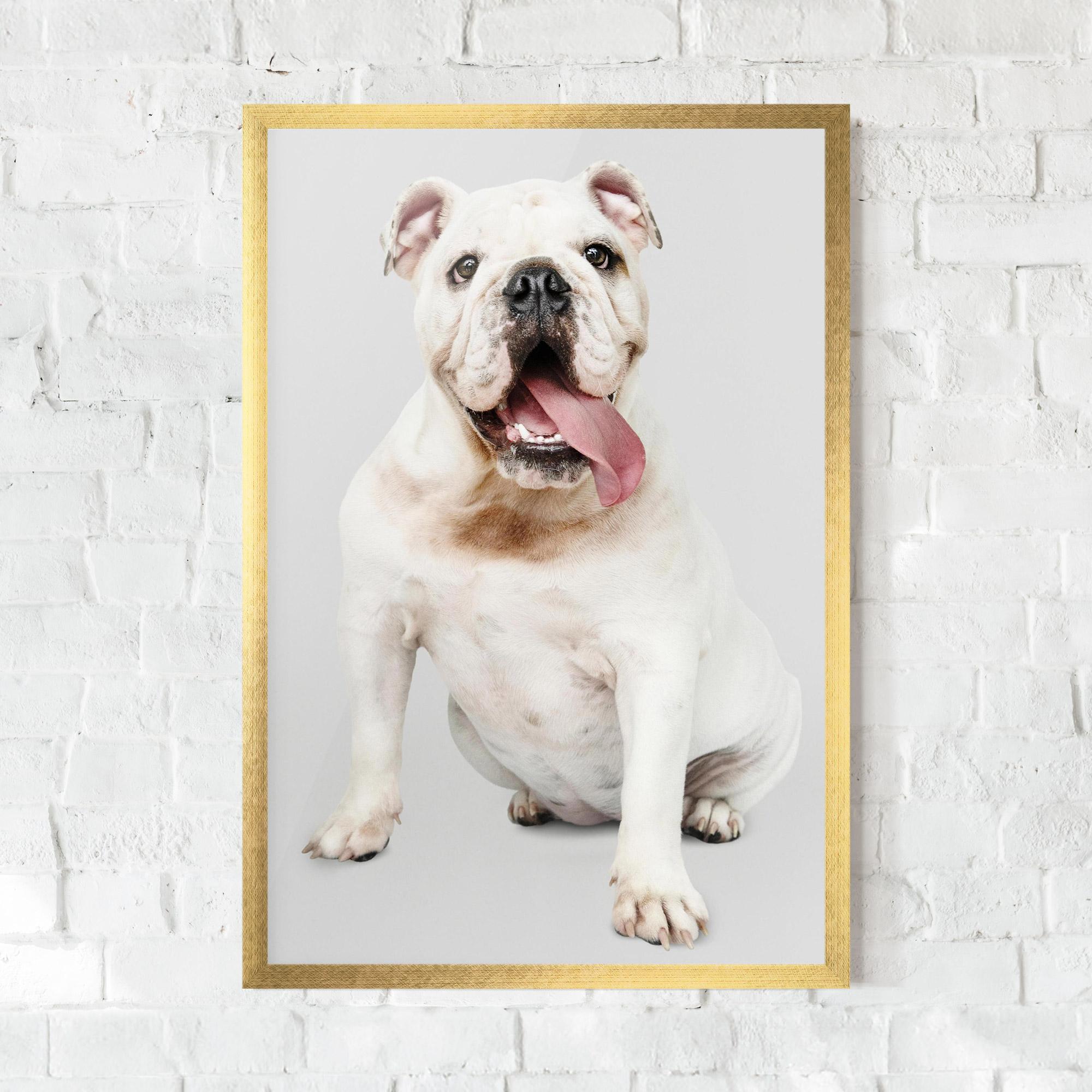 Poster Înrămat Happy White Dog mockup 0