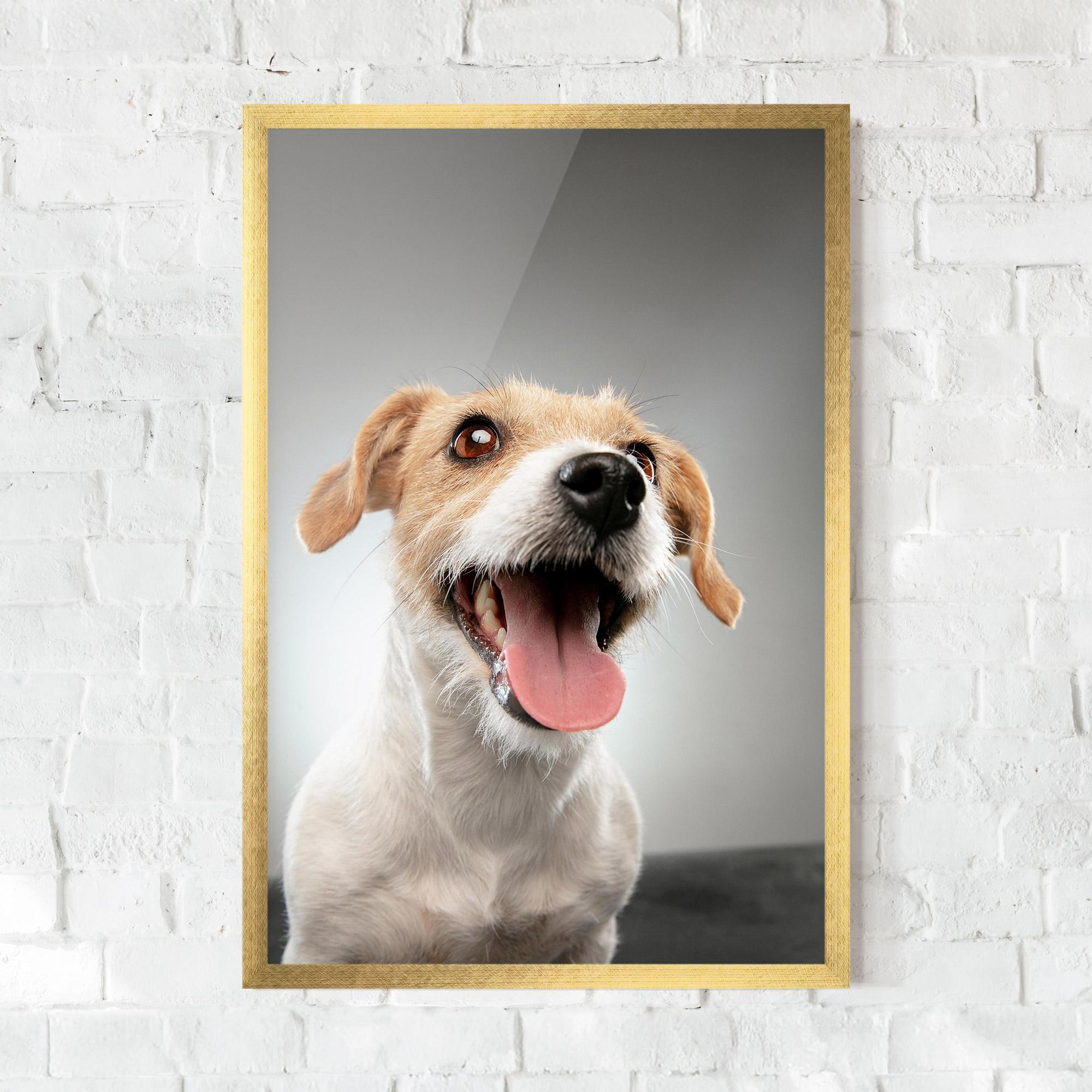 Poster Înrămat Jack Russell Terrier mockup 0
