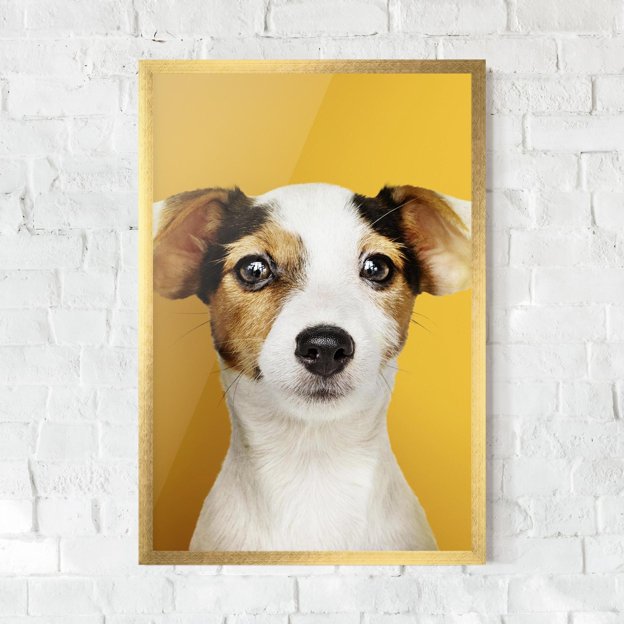 Poster Înrămat Puppy On Yellow mockup 0