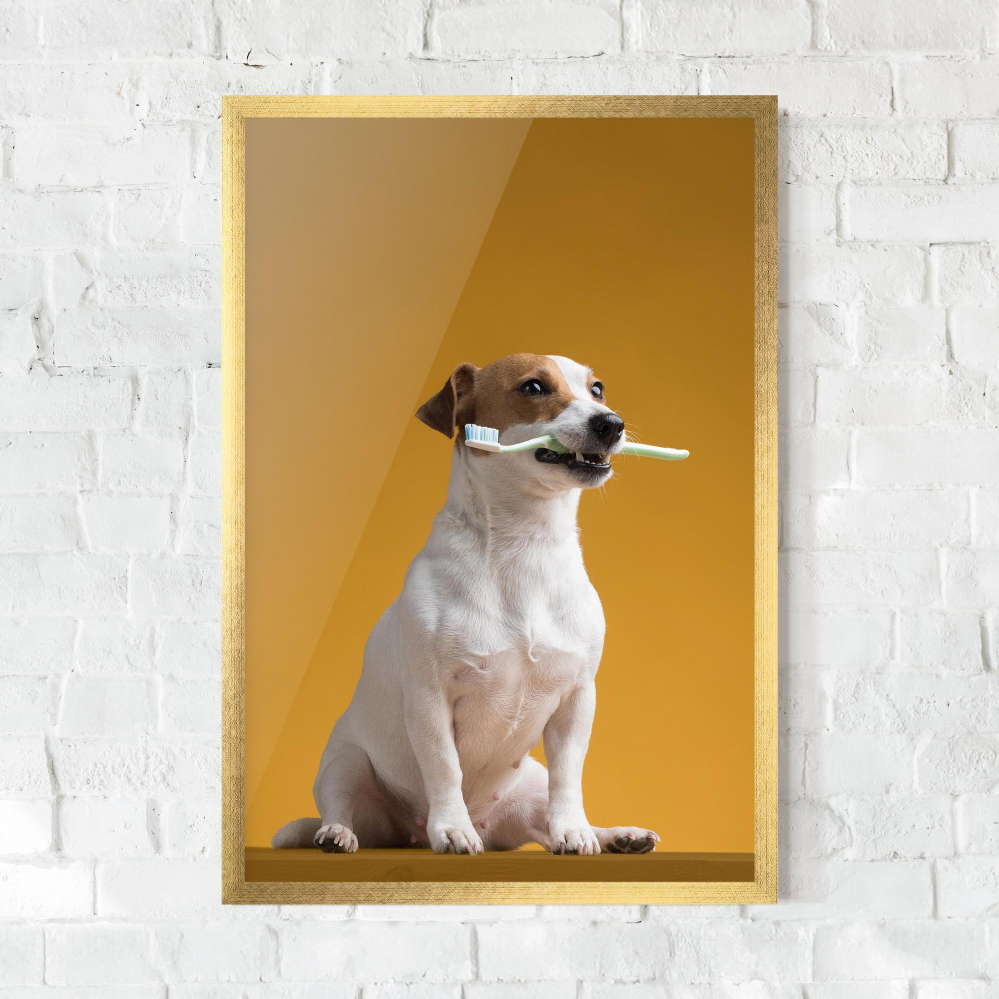 Poster Înrămat Toothbrush Dog mockup 0