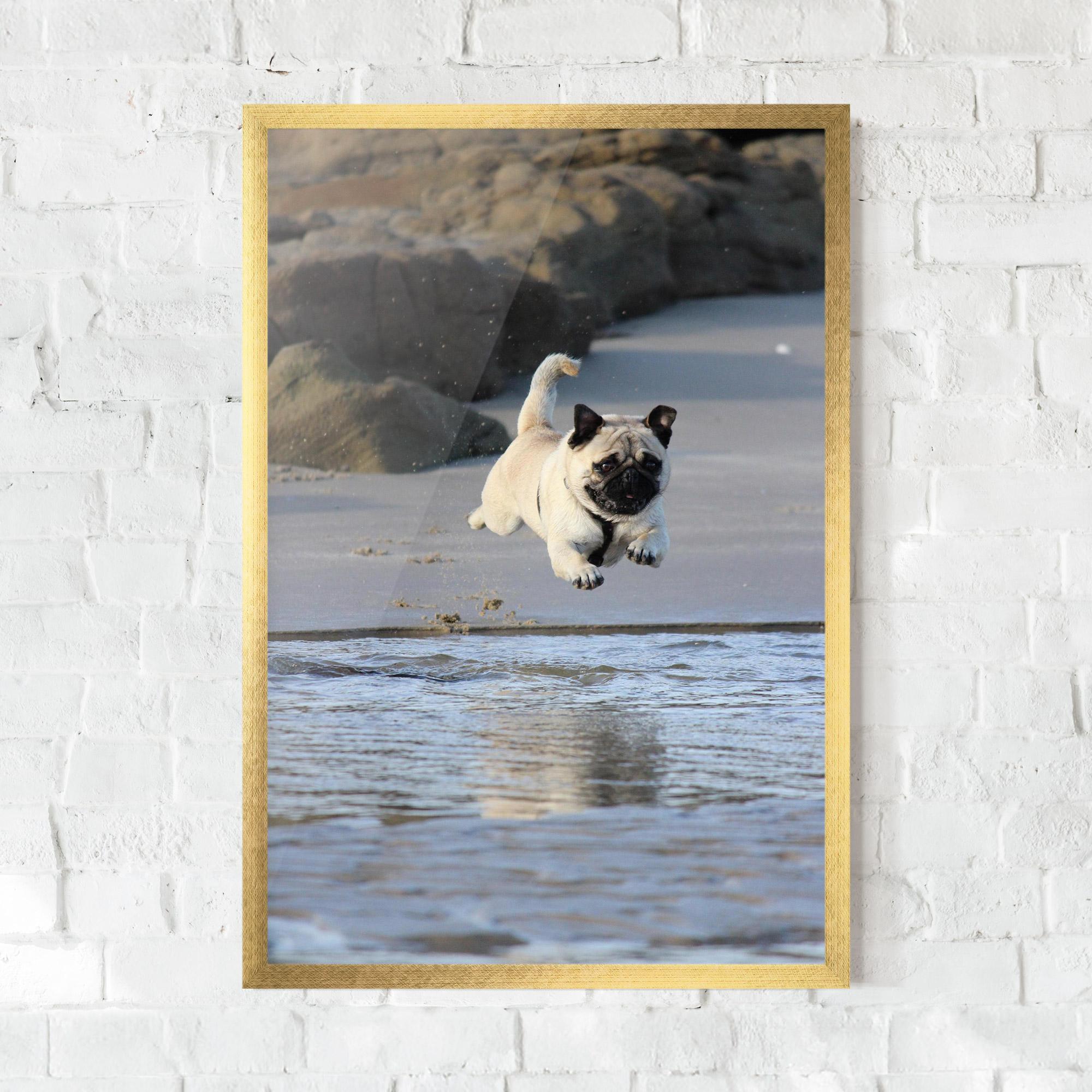 Poster Înrămat Water Pug mockup 0