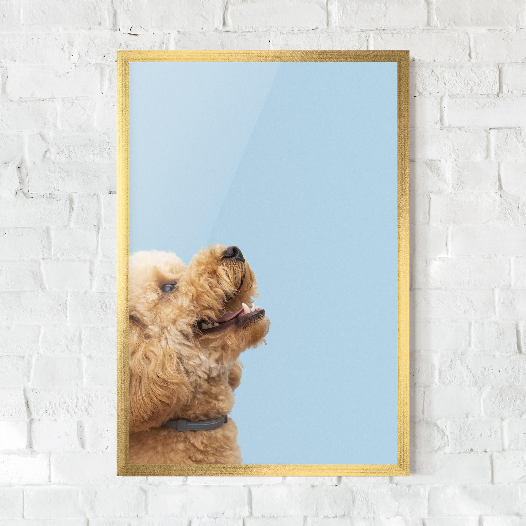 Poster Înrămat Yellow Cute Dog mockup 0
