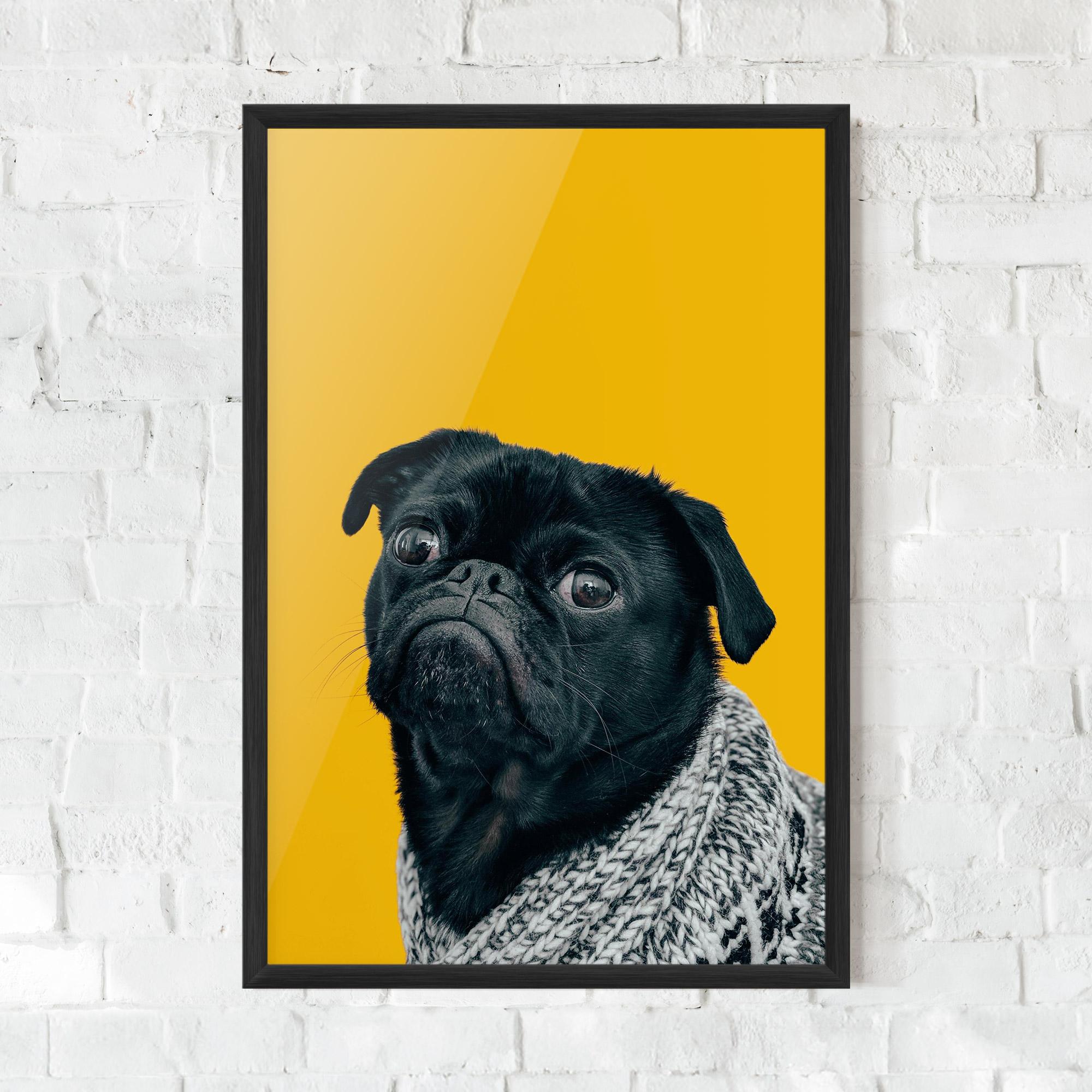 Poster Înrămat Black Pug mockup 0