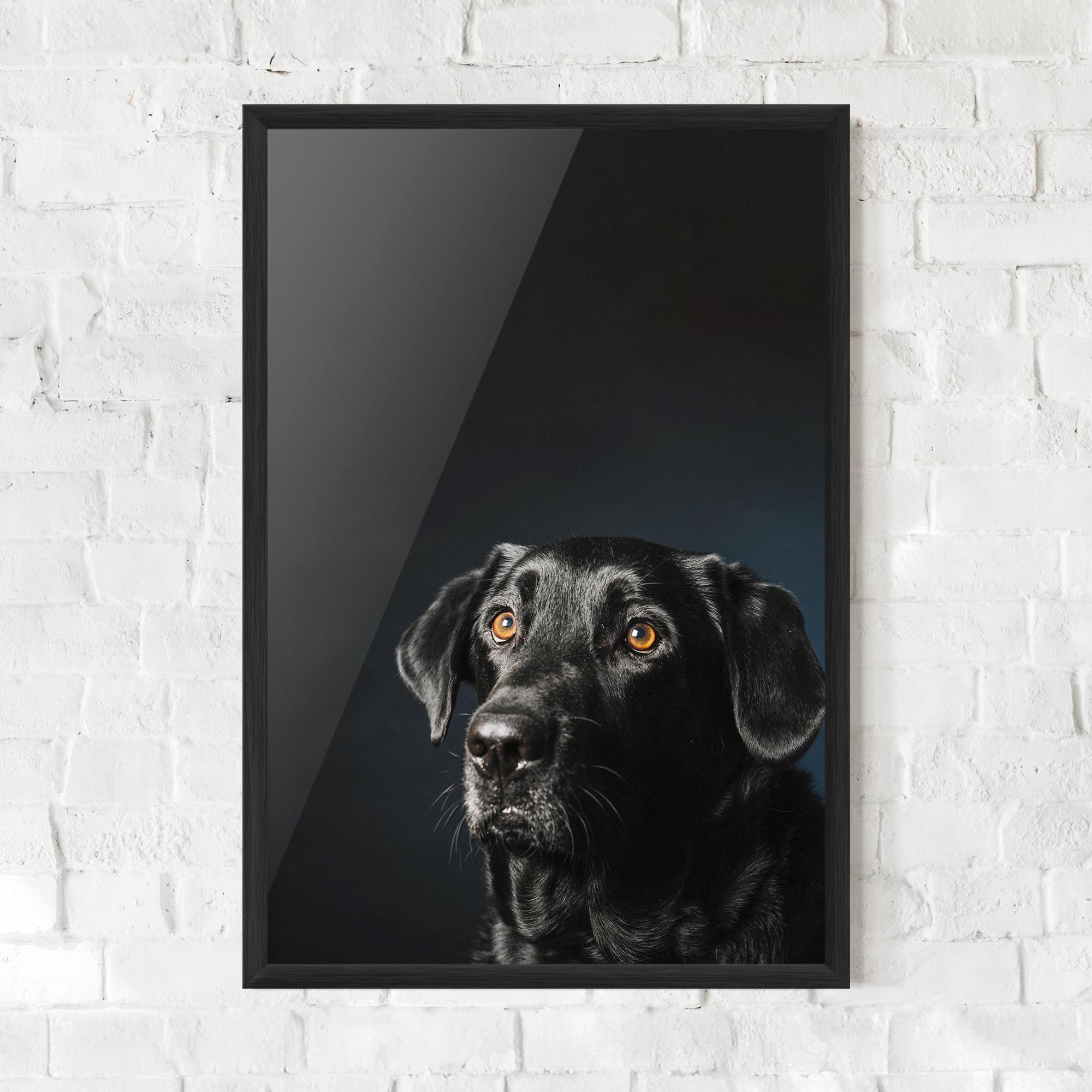Poster Înrămat Brown Eyes Dog mockup 0