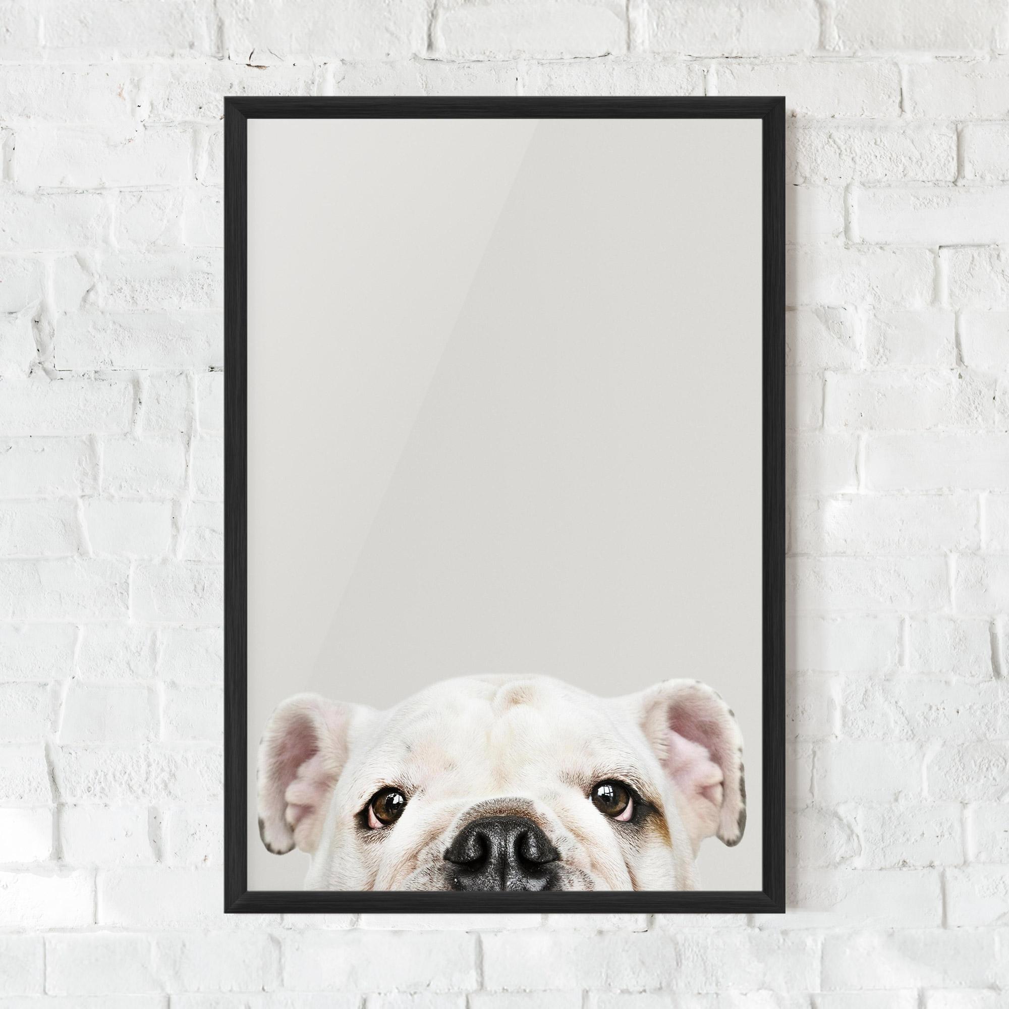 Poster Înrămat Bulldog Eyes mockup 0