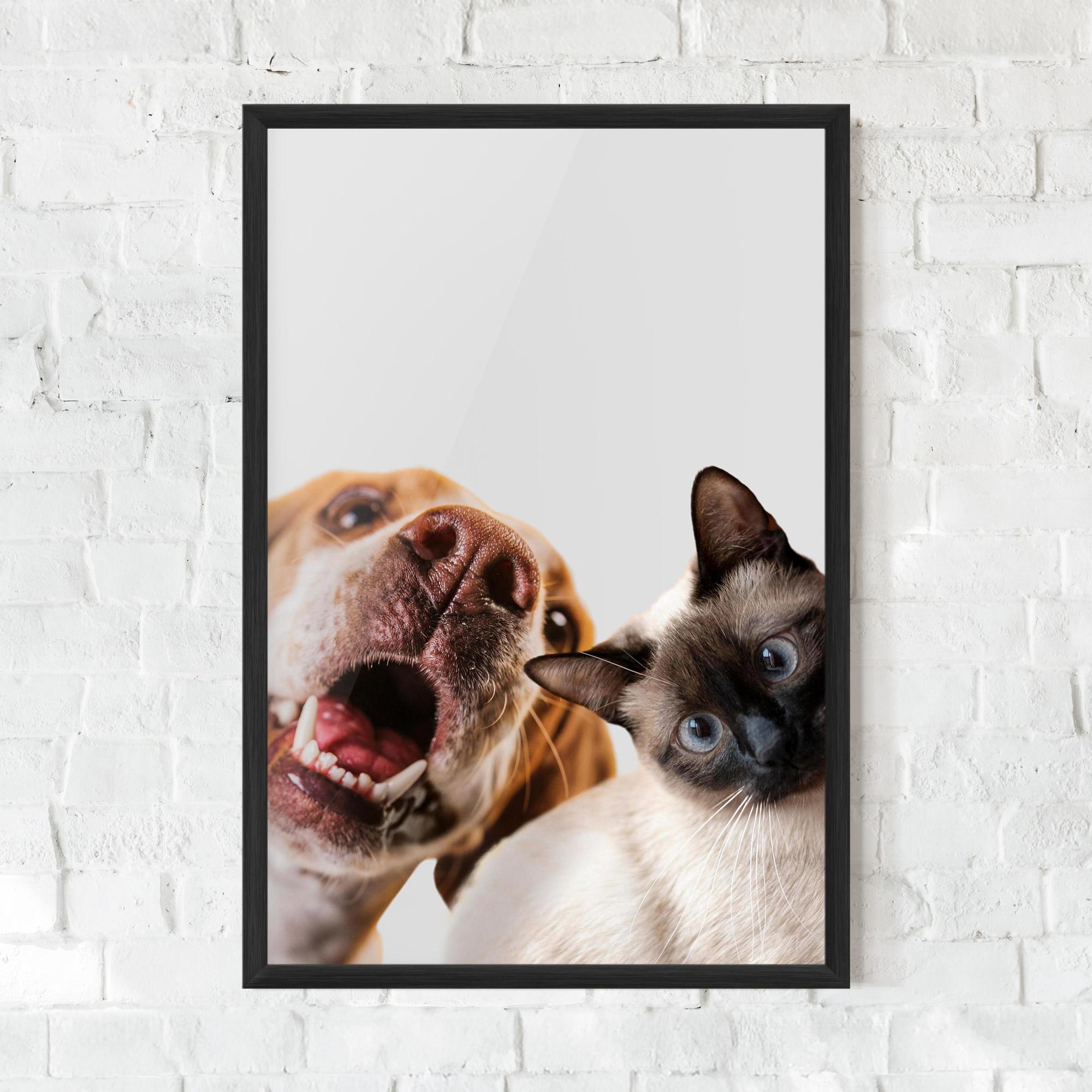Poster Înrămat Cute Pet Collage mockup 0