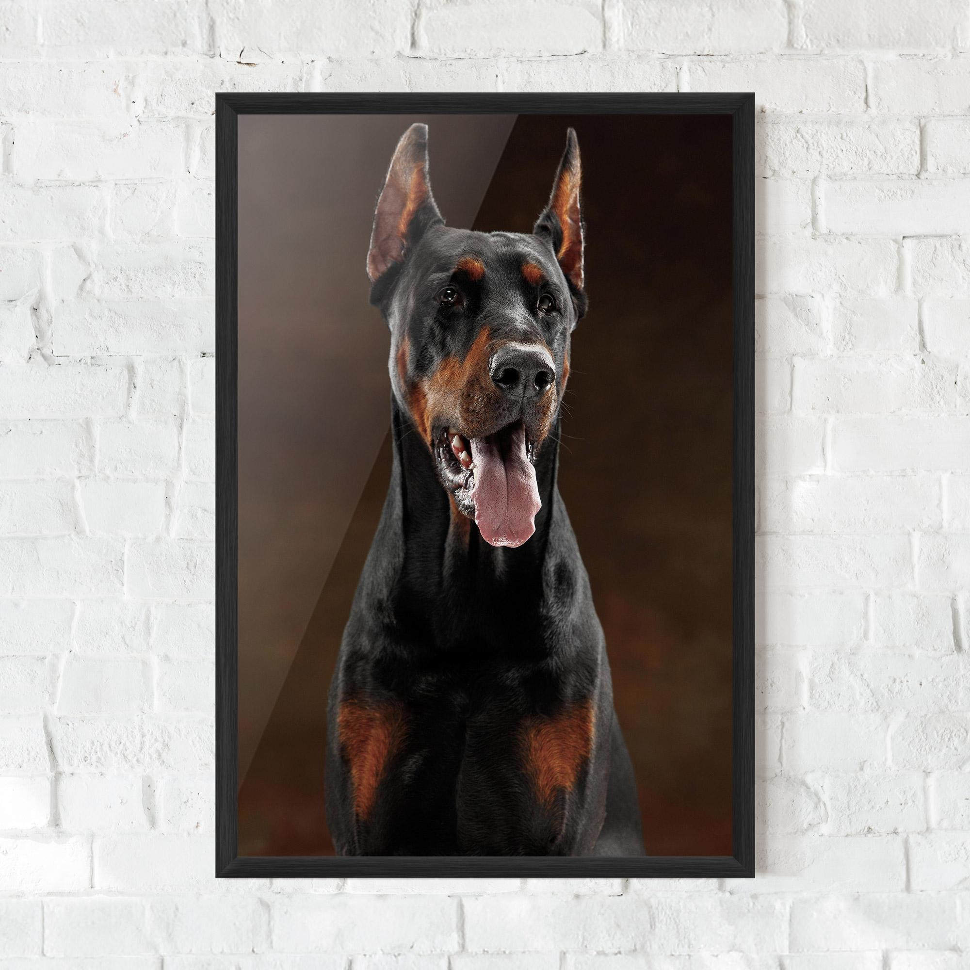 Poster Înrămat Doberman Looking mockup 0