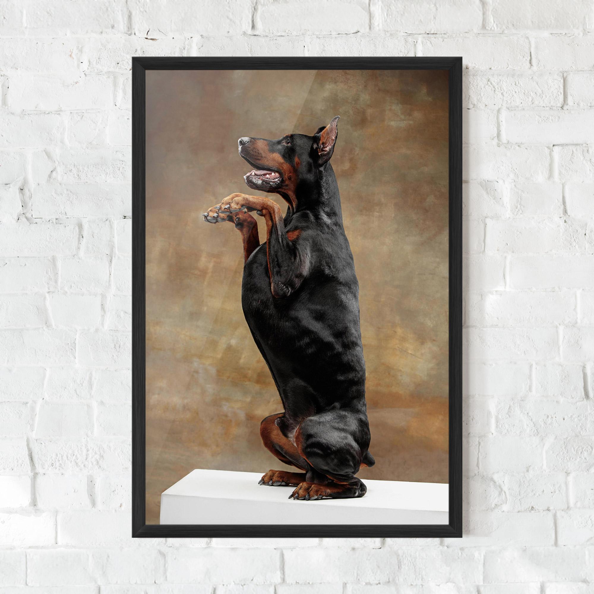 Poster Înrămat Doberman Standing mockup 0