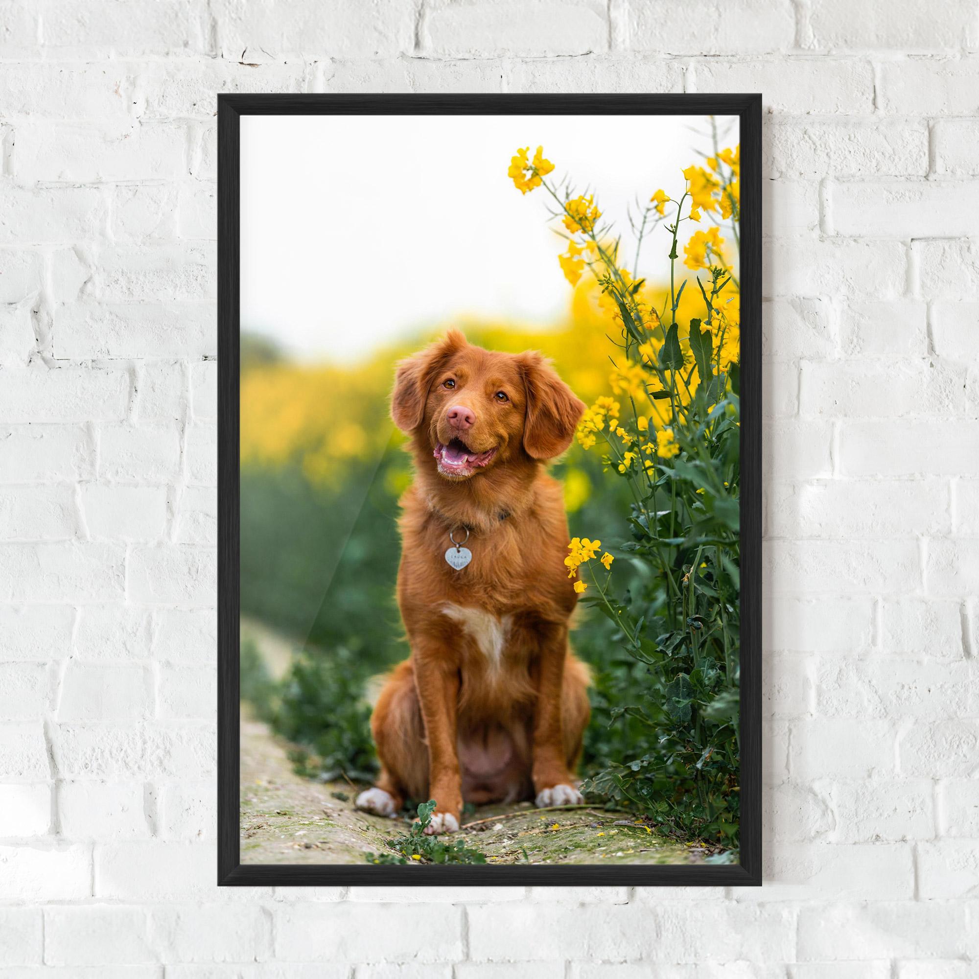 Poster Înrămat Dog Yellow Flowers mockup 0