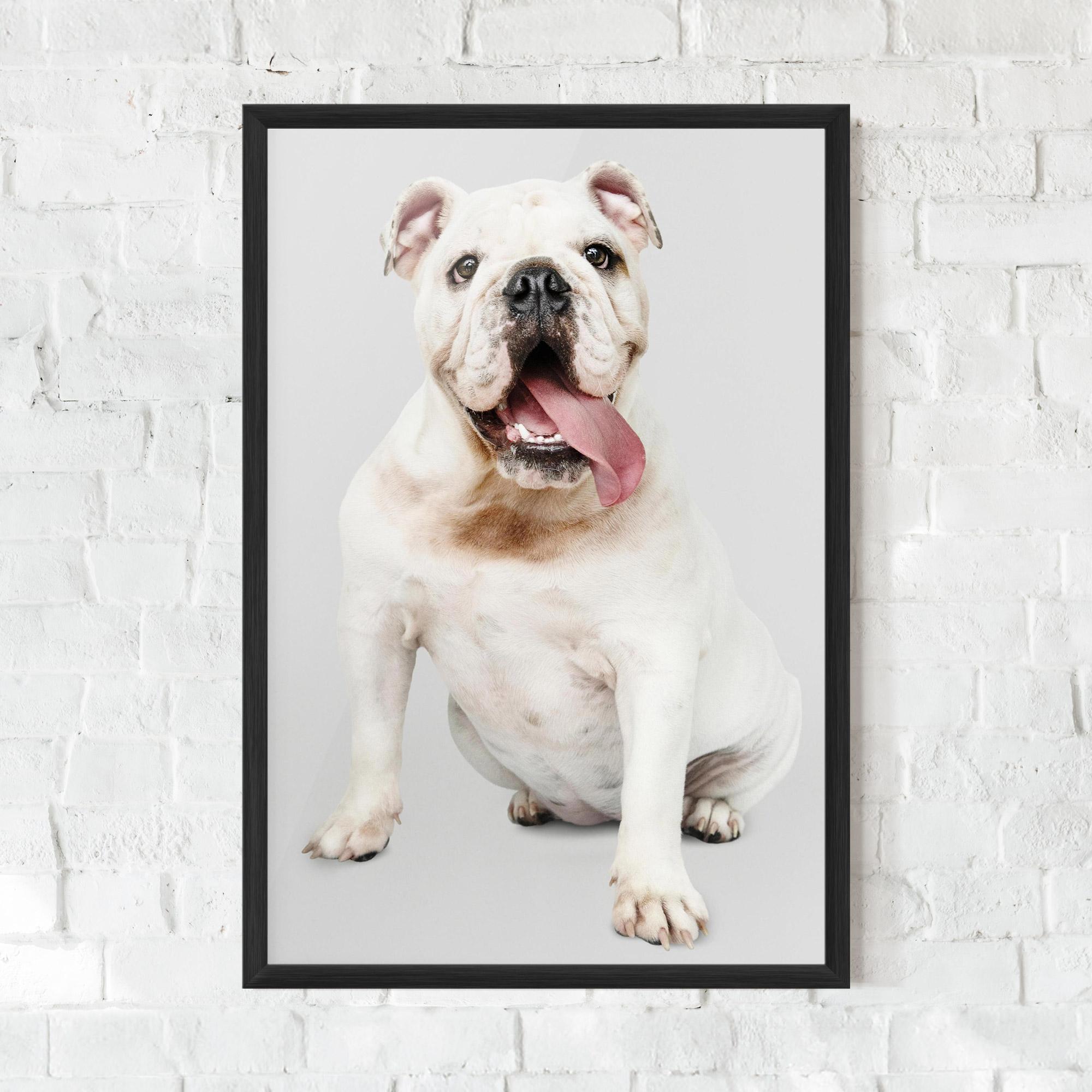 Poster Înrămat Happy White Dog mockup 0