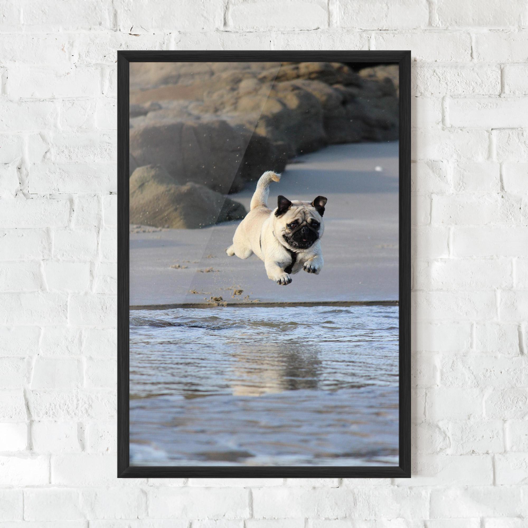 Poster Înrămat Water Pug mockup 0