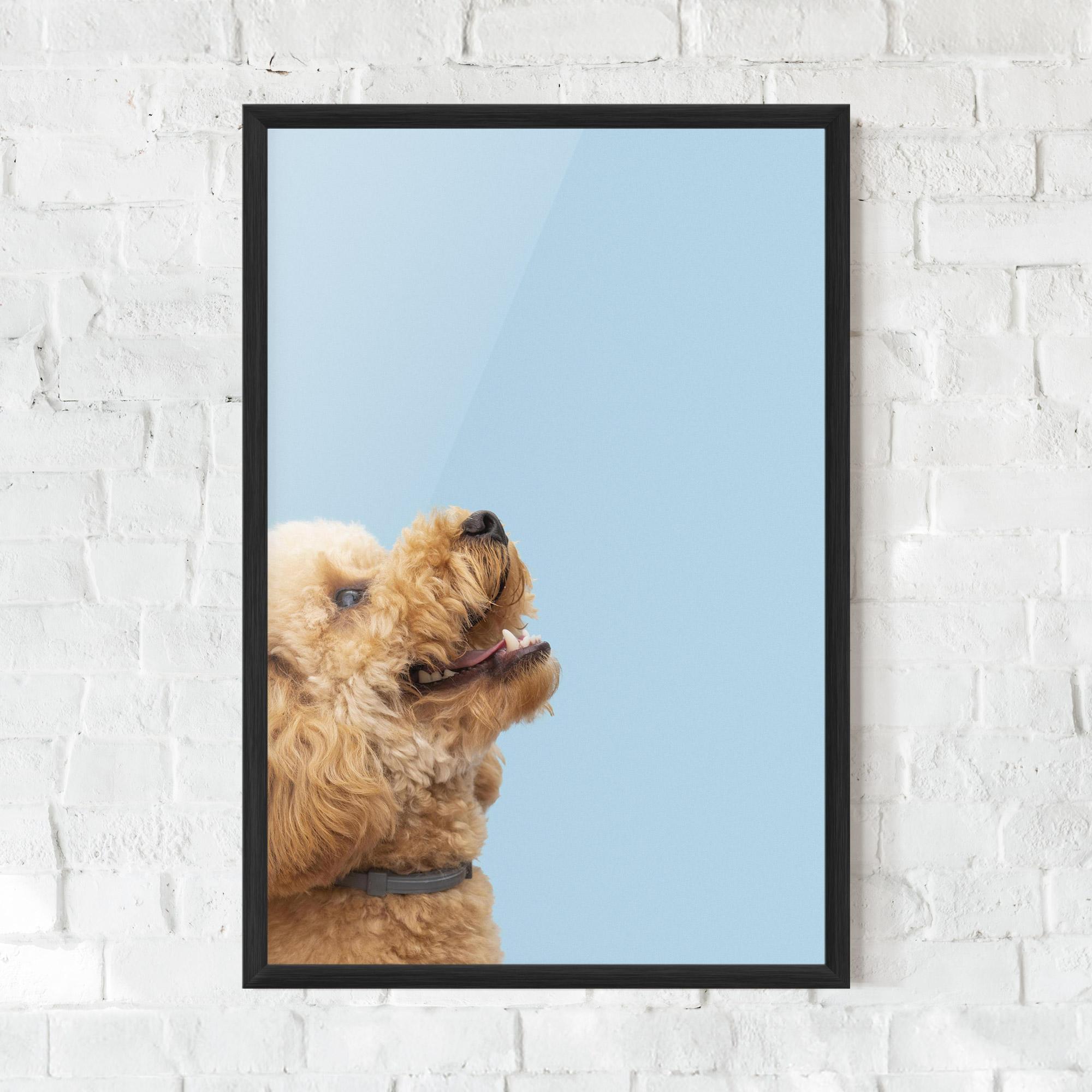 Poster Înrămat Yellow Cute Dog mockup 0
