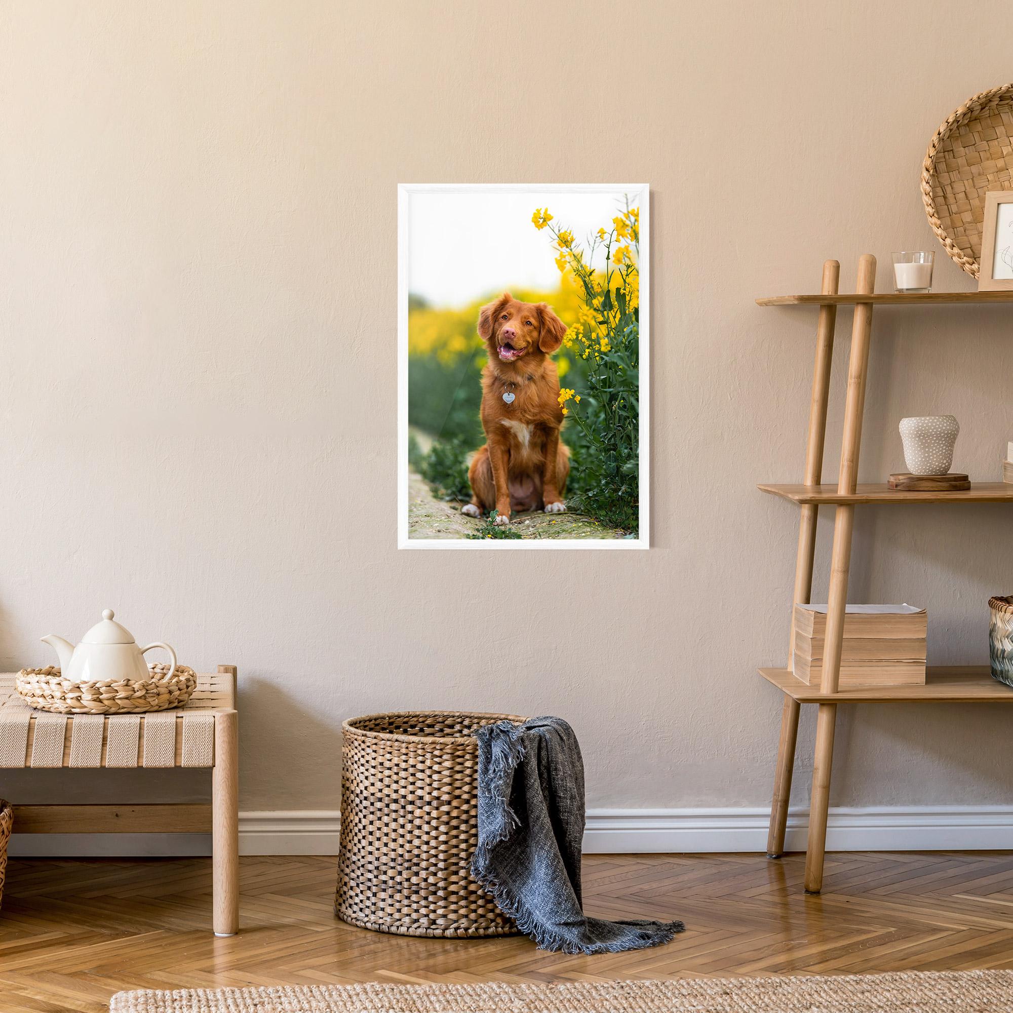 Poster Înrămat Dog Yellow Flowers mockup 9