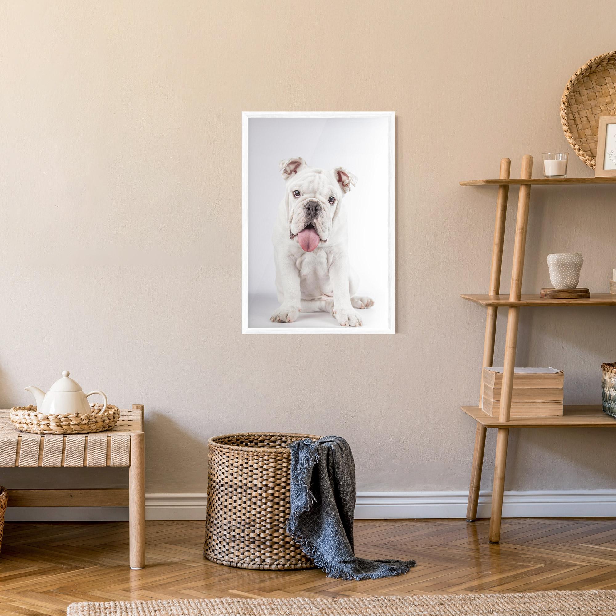 Poster Înrămat English Bulldog mockup 9