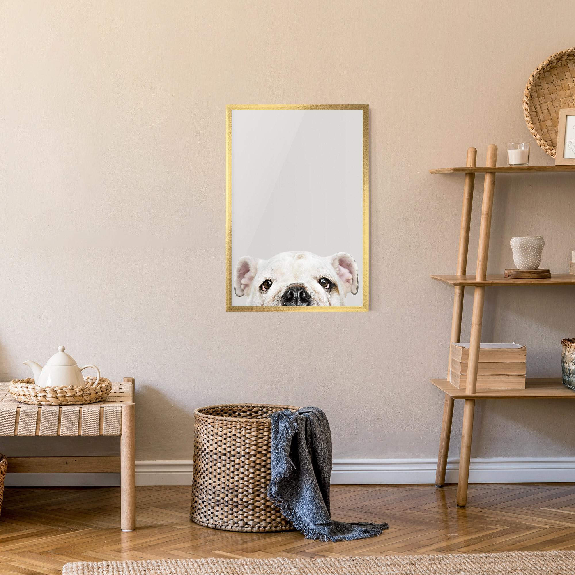 Poster Înrămat Bulldog Eyes mockup 9