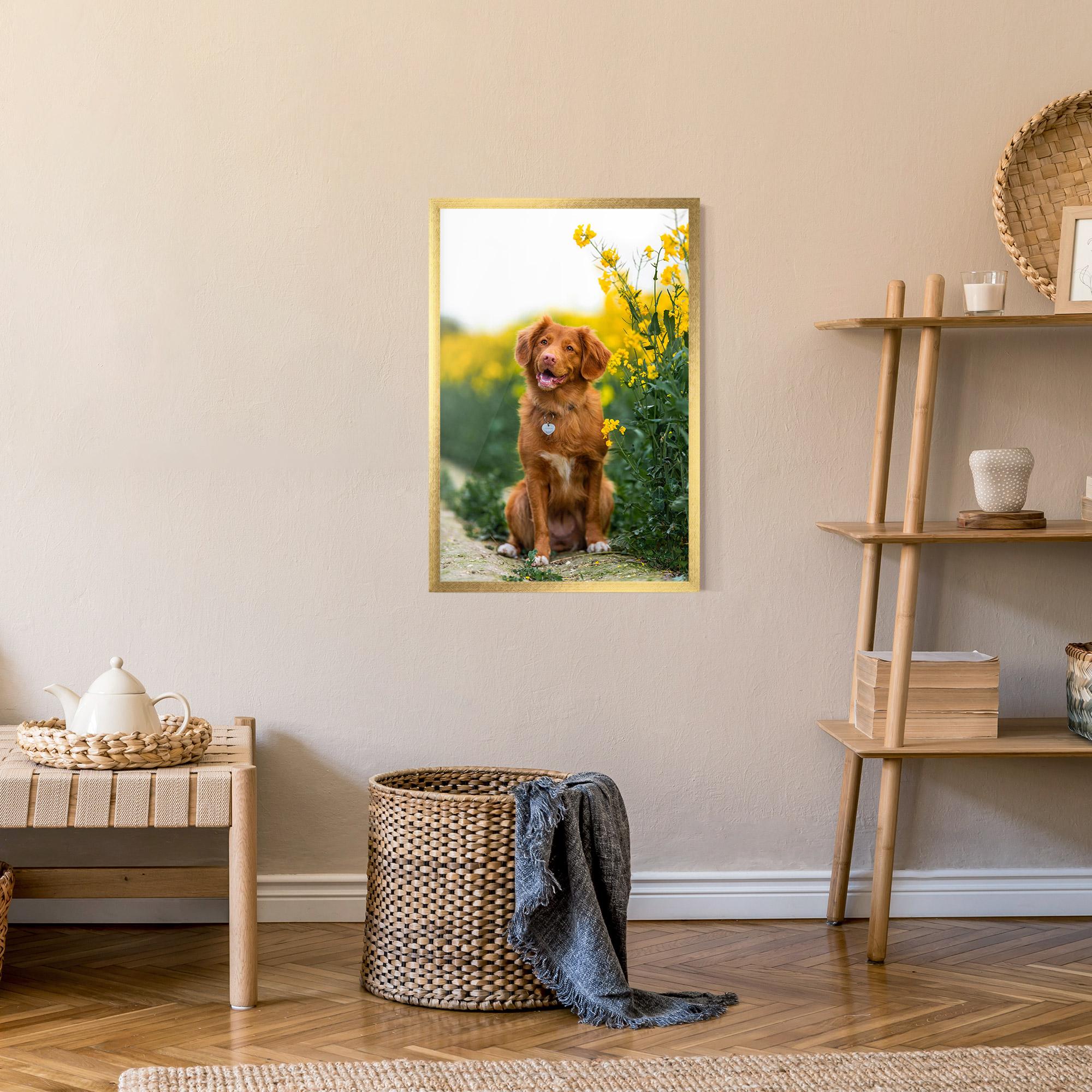 Poster Înrămat Dog Yellow Flowers mockup 9