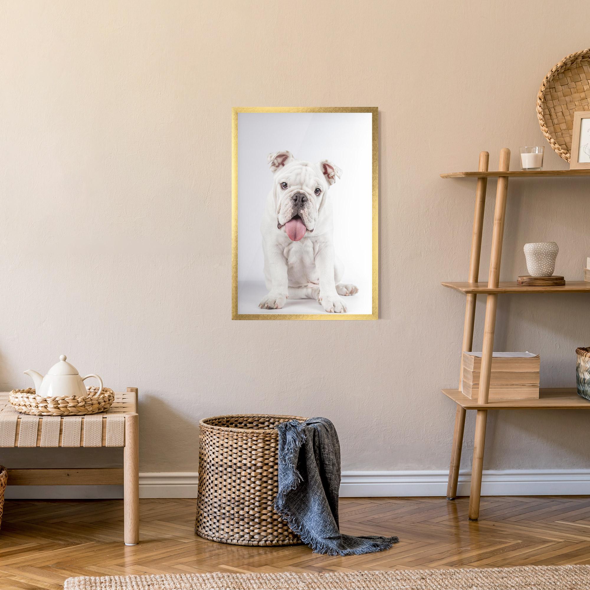 Poster Înrămat English Bulldog mockup 9