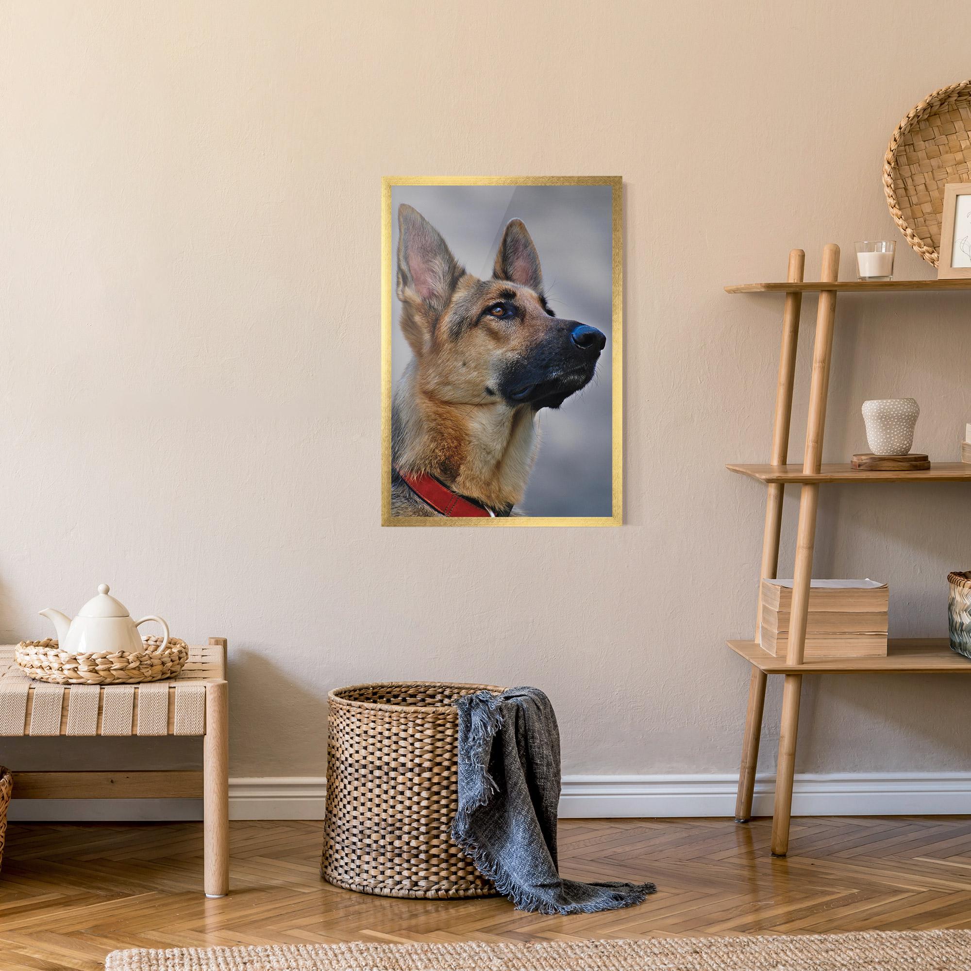 Poster Înrămat German Shepherd mockup 9