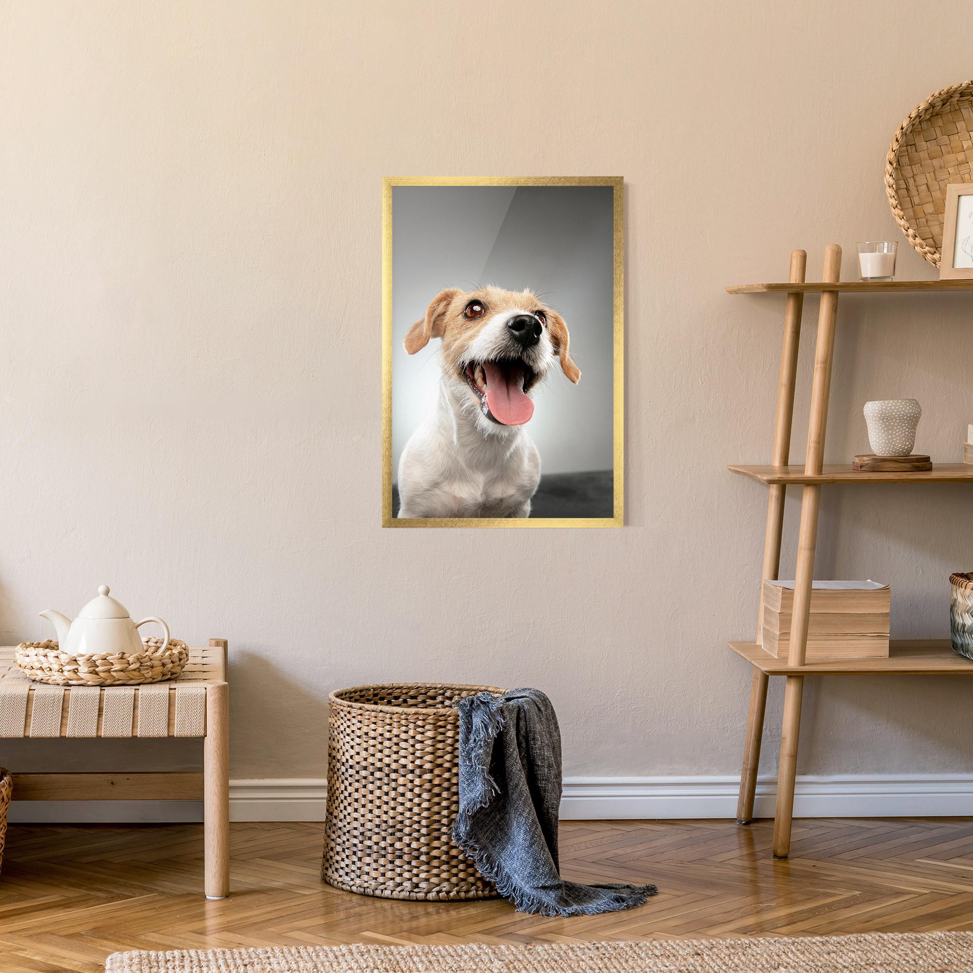 Poster Înrămat Jack Russell Terrier mockup 9
