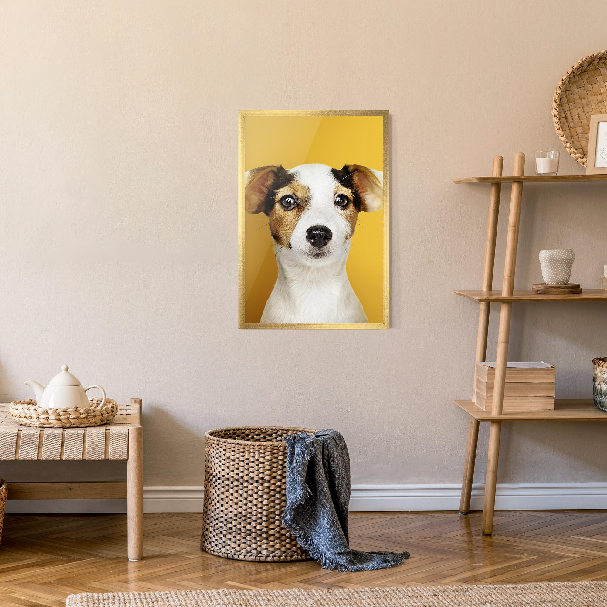 Poster Înrămat Puppy On Yellow mockup 9