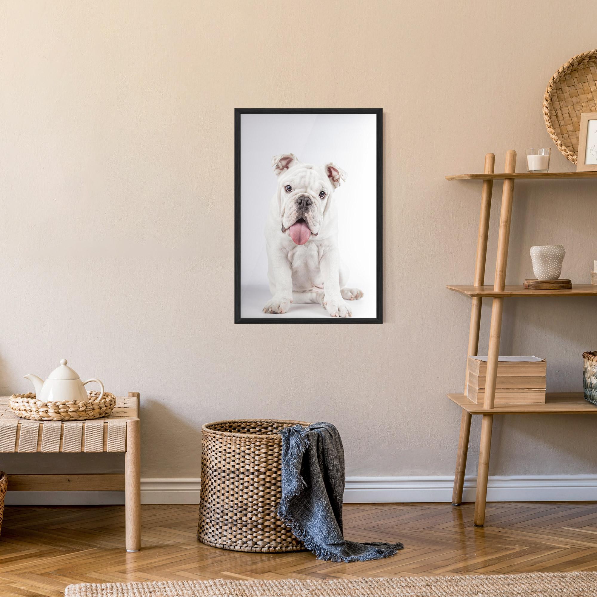 Poster Înrămat English Bulldog mockup 9