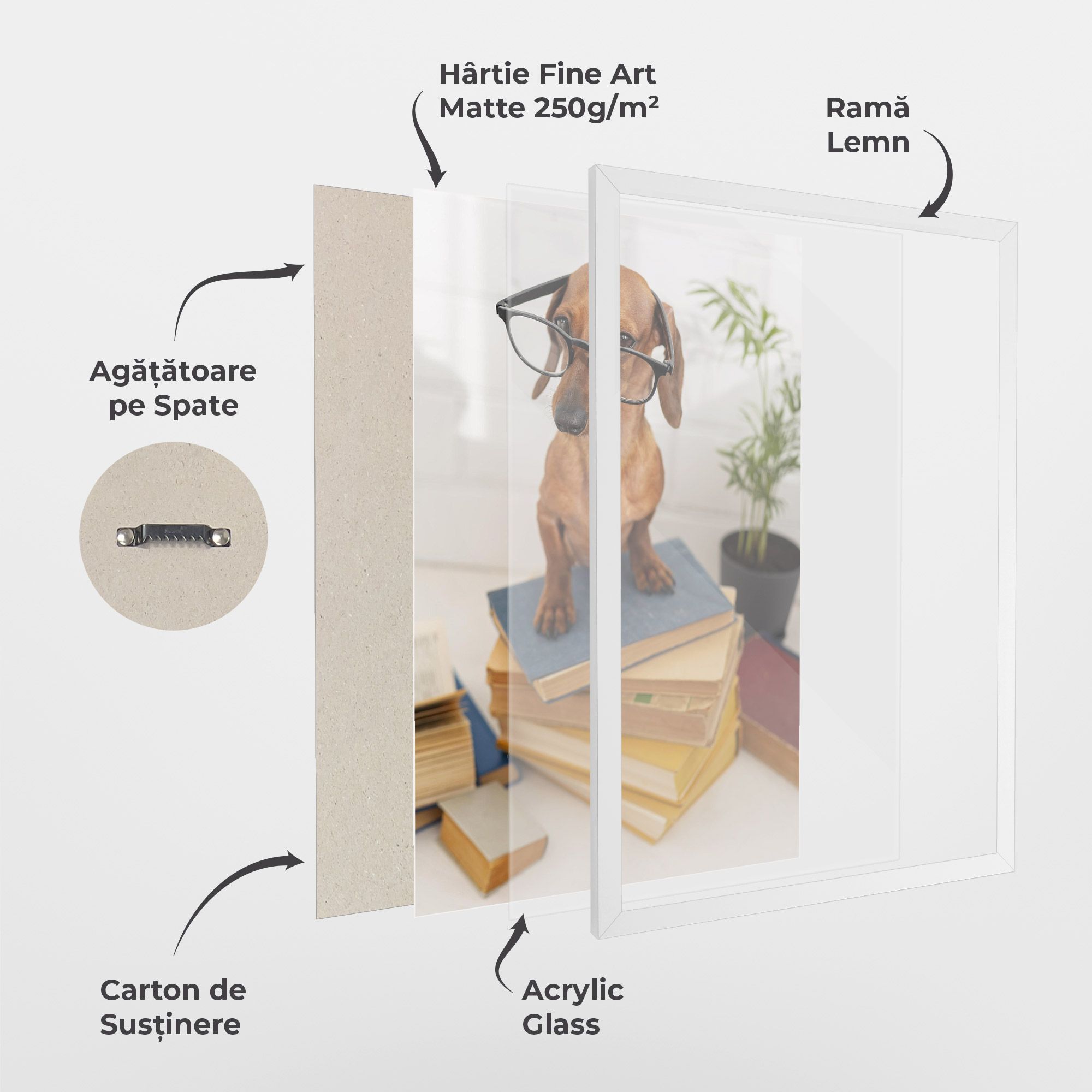 Books Cute Dog mockup 1