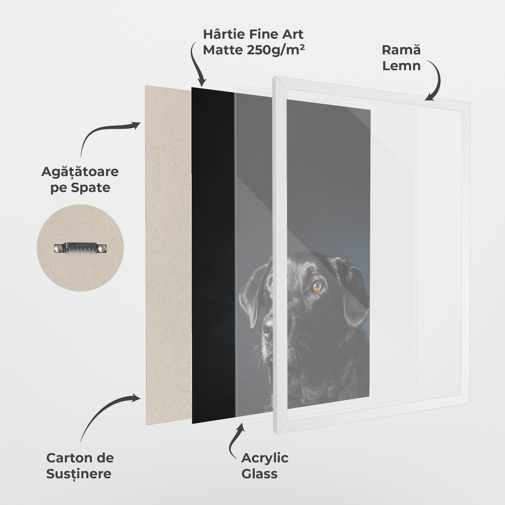 Poster Înrămat Brown Eyes Dog mockup 1