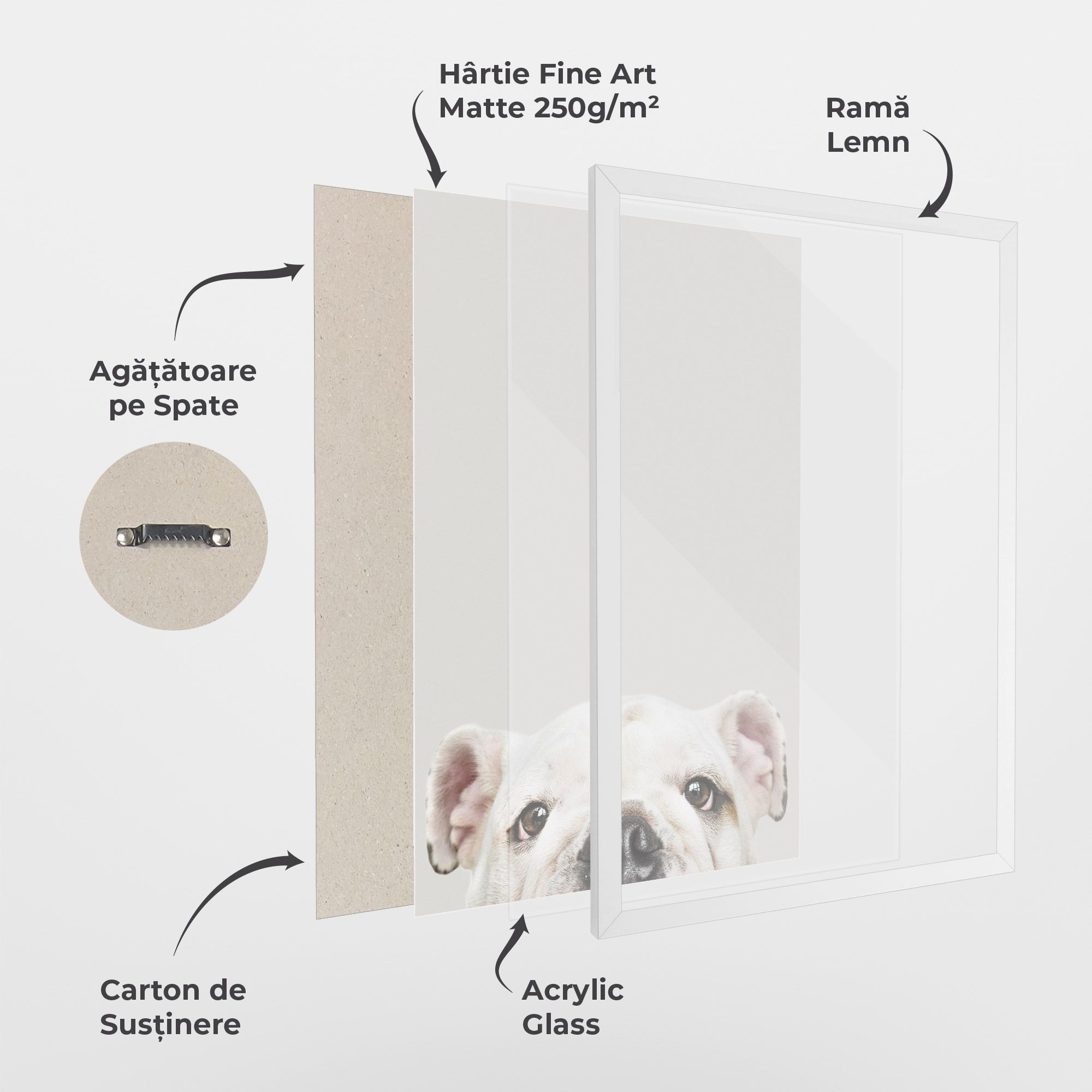 Bulldog Eyes mockup 1