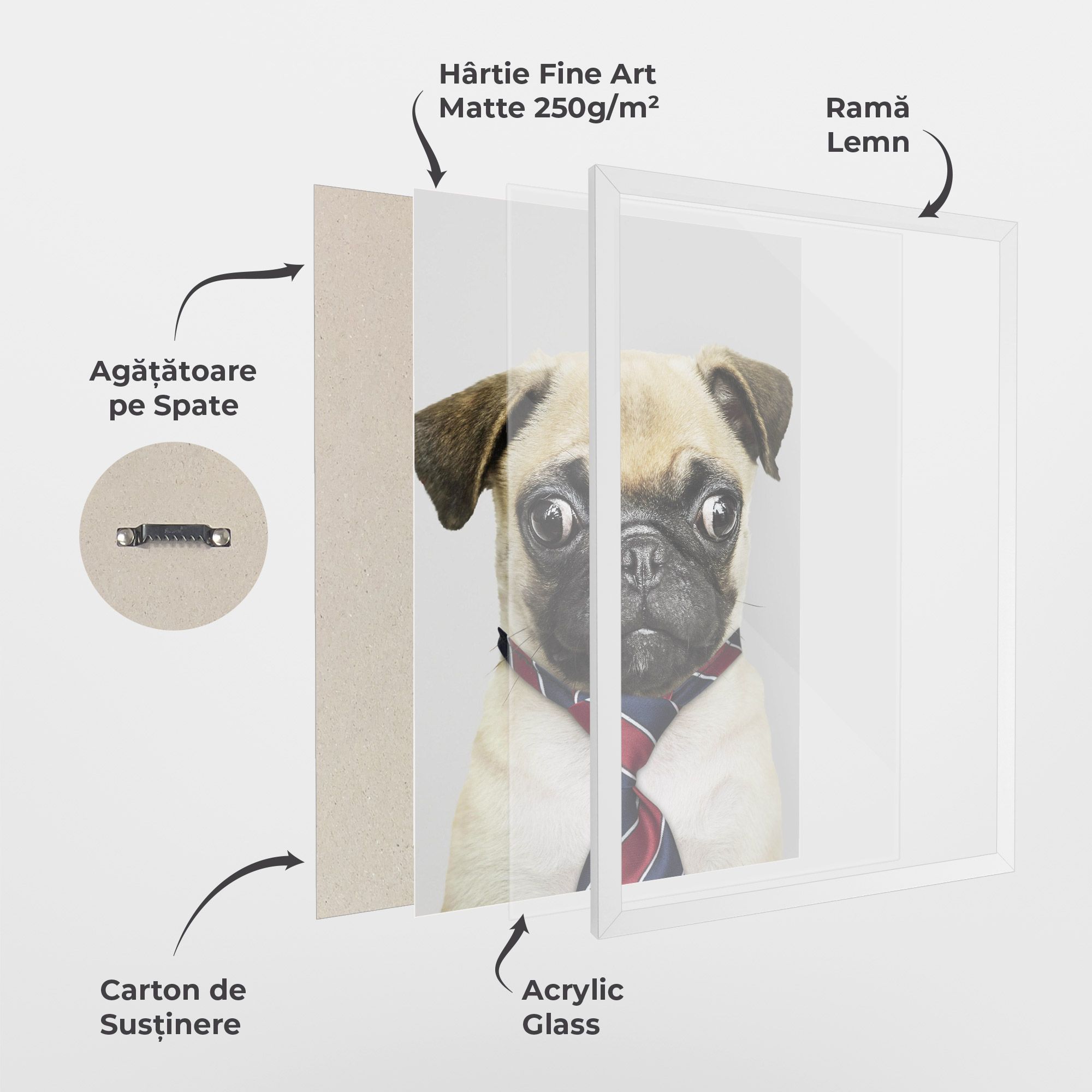 Business Pug mockup 1