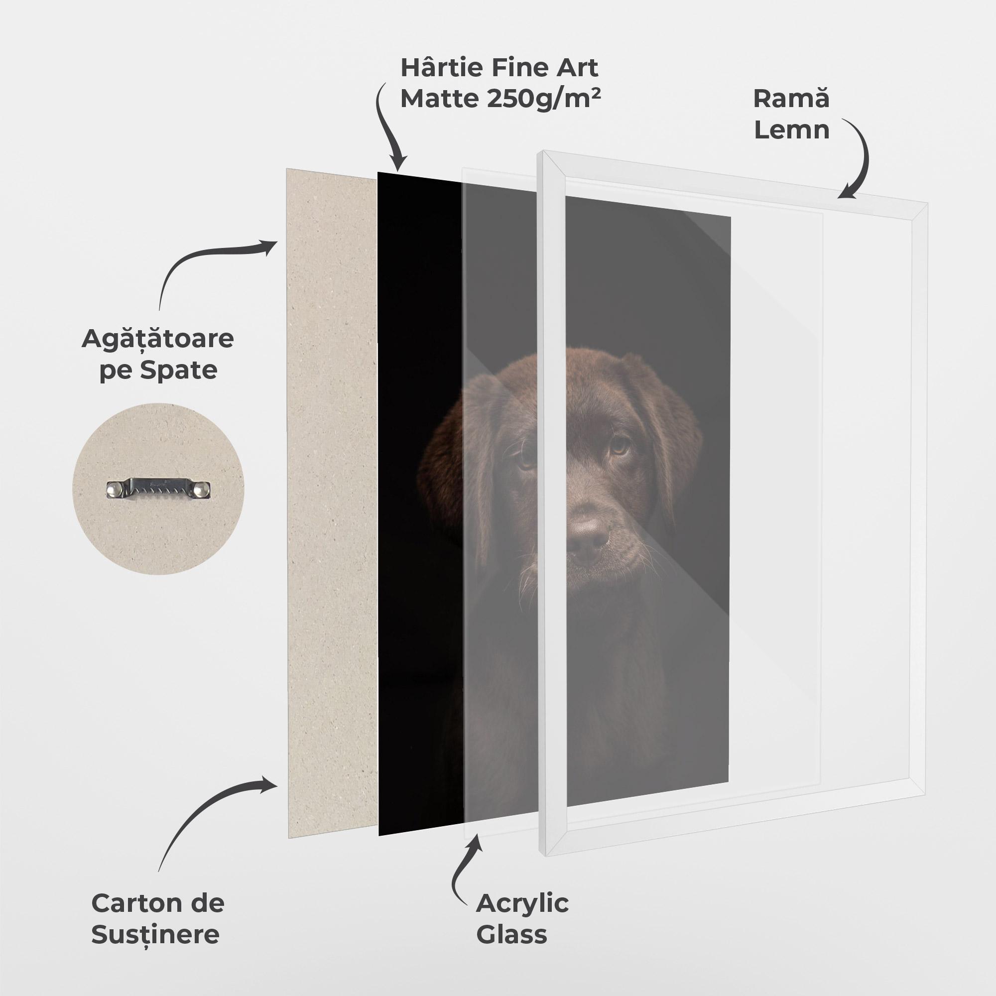 Poster Înrămat Chocolate Labrador mockup 1