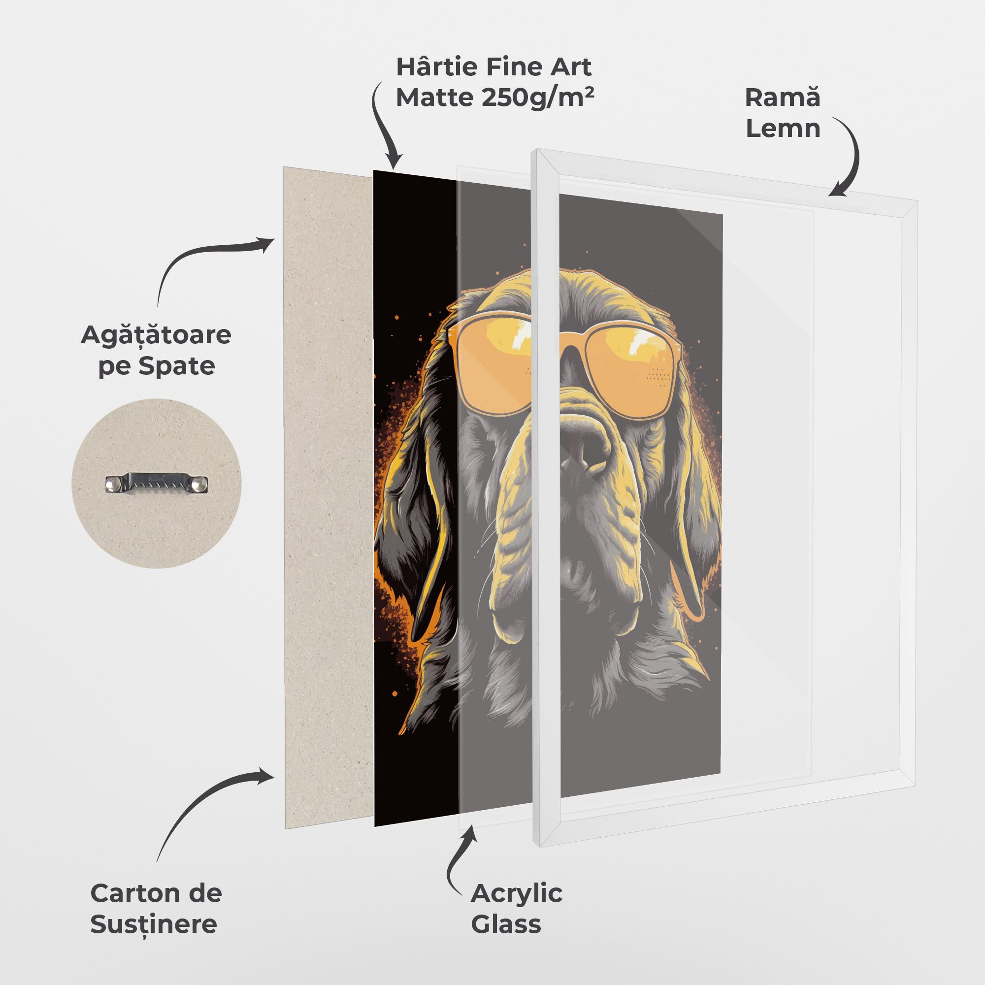 Coolest Dog mockup 1