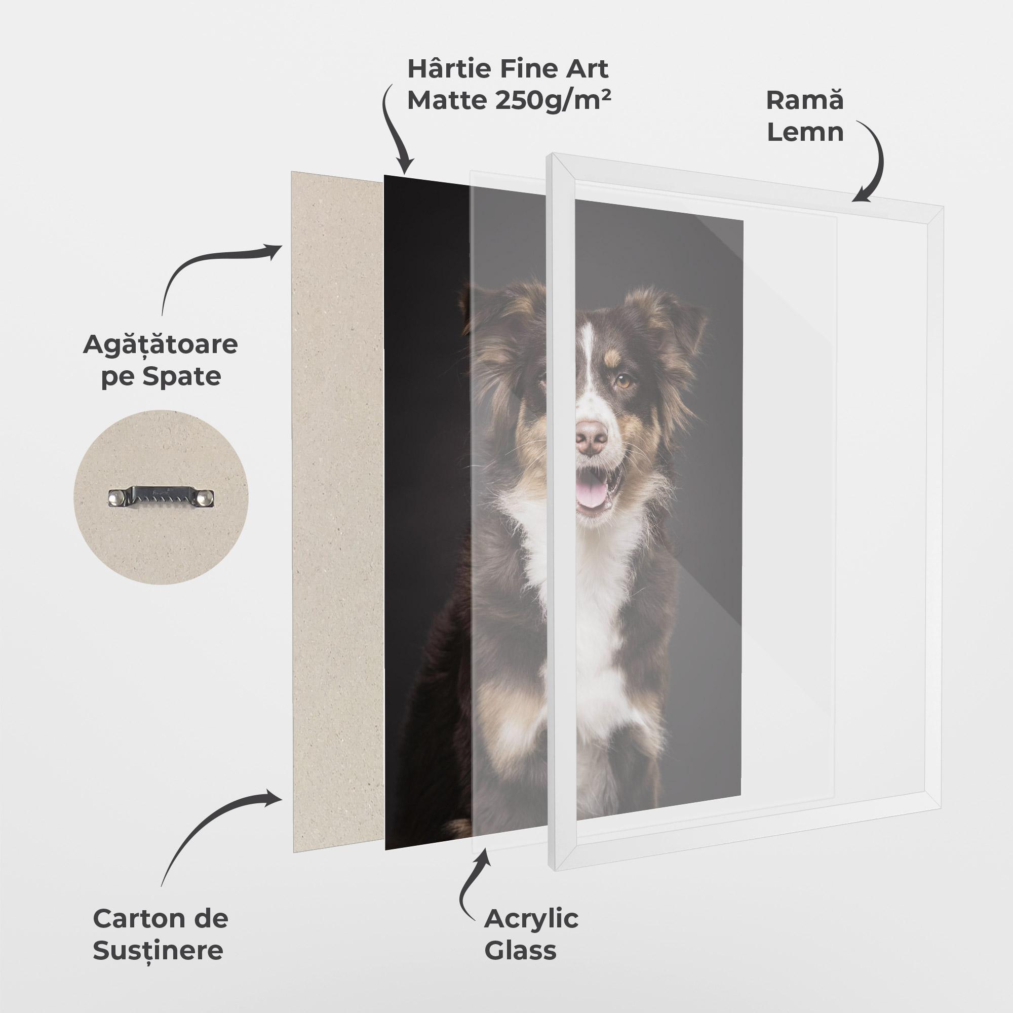 Poster Înrămat Cute Dog Sitting mockup 1