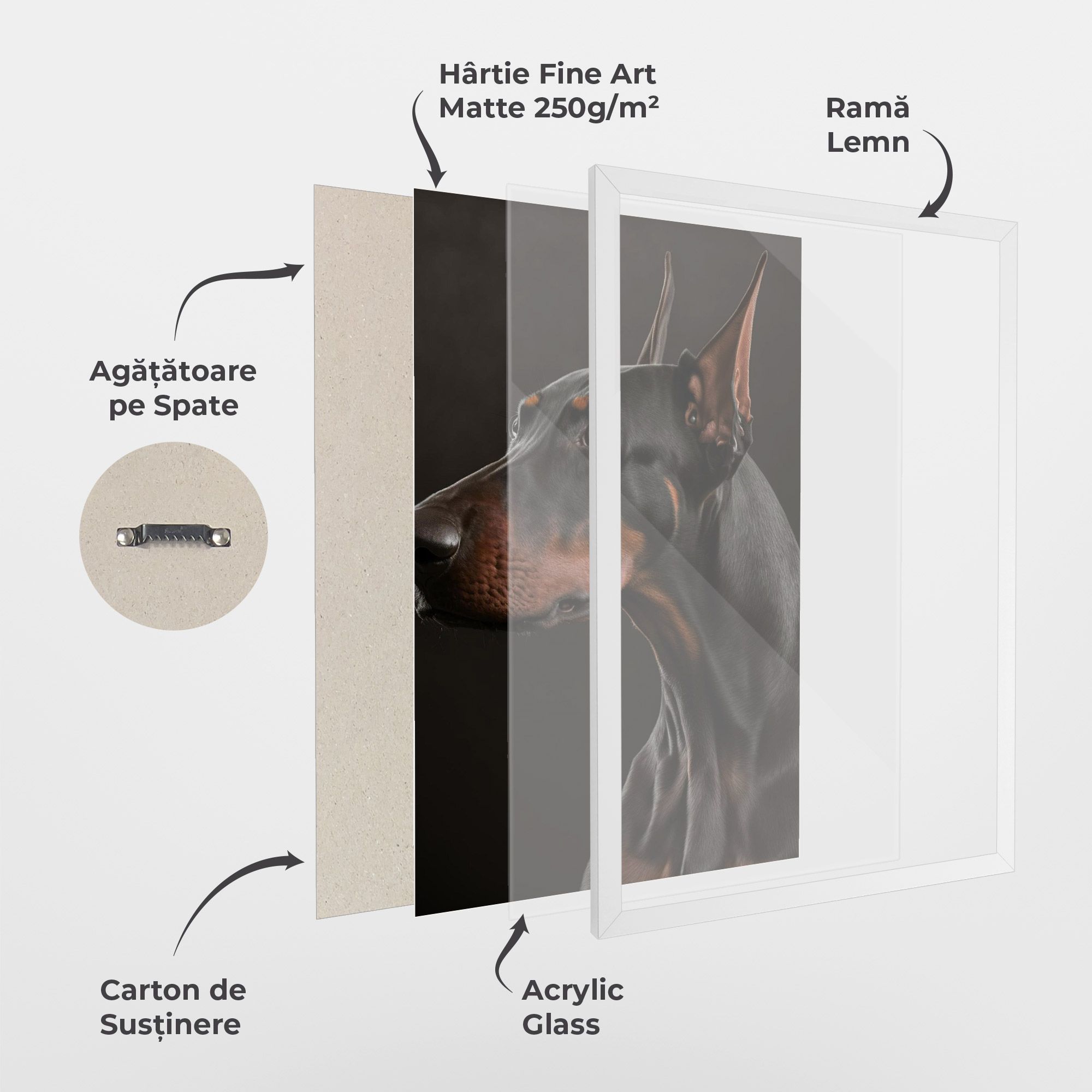 Doberman Dog Portrait mockup 1