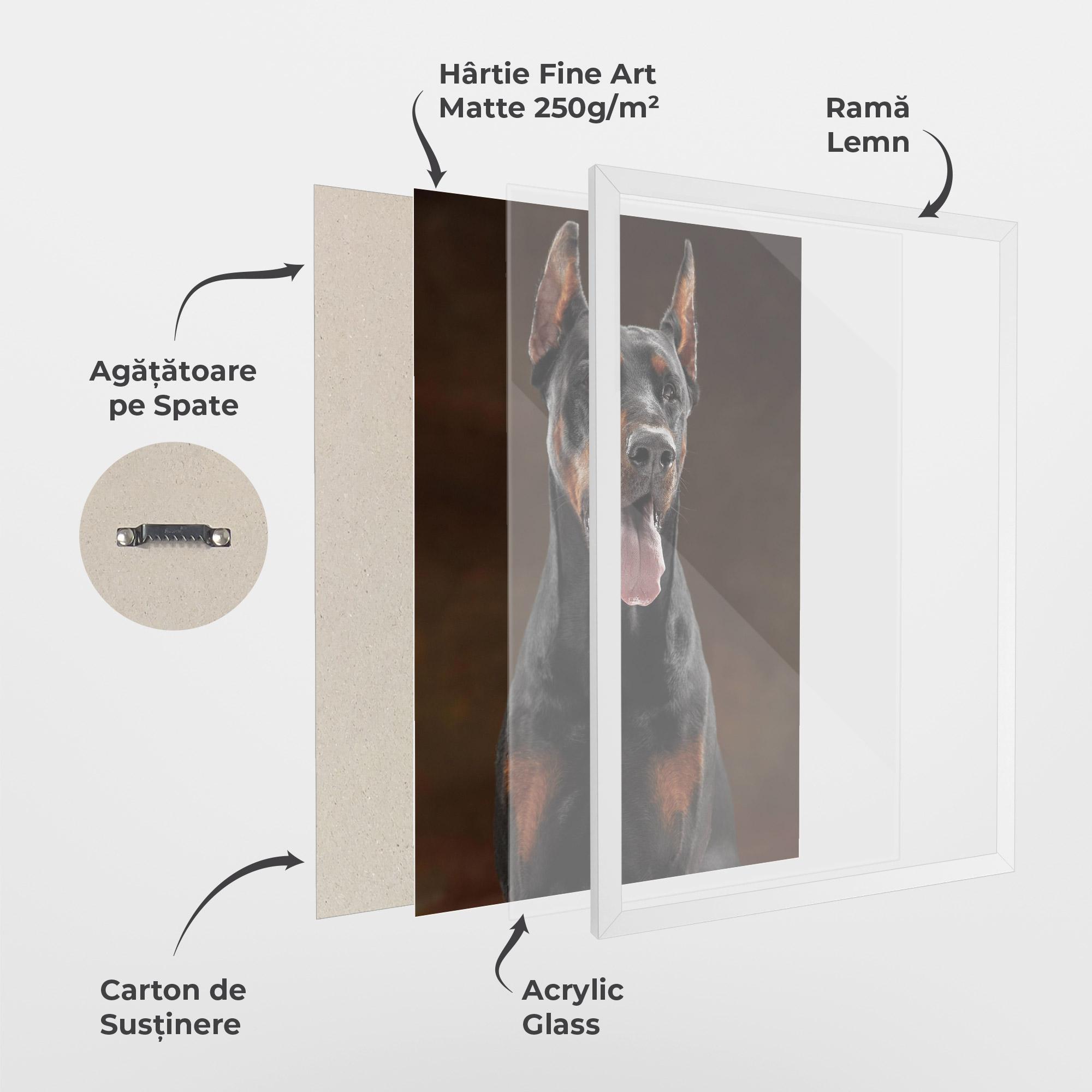 Poster Înrămat Doberman Looking mockup 1