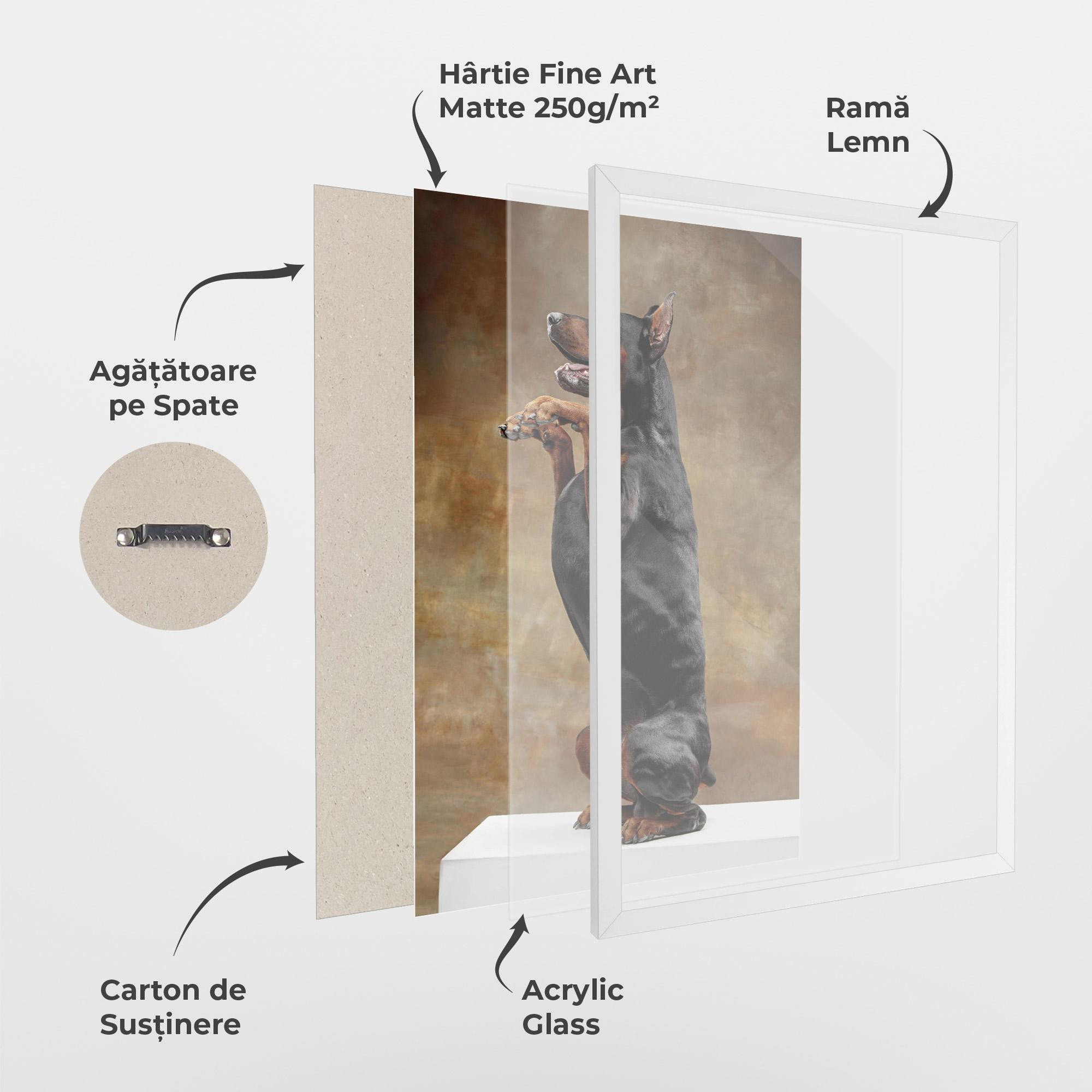 Poster Înrămat Doberman Standing mockup 1