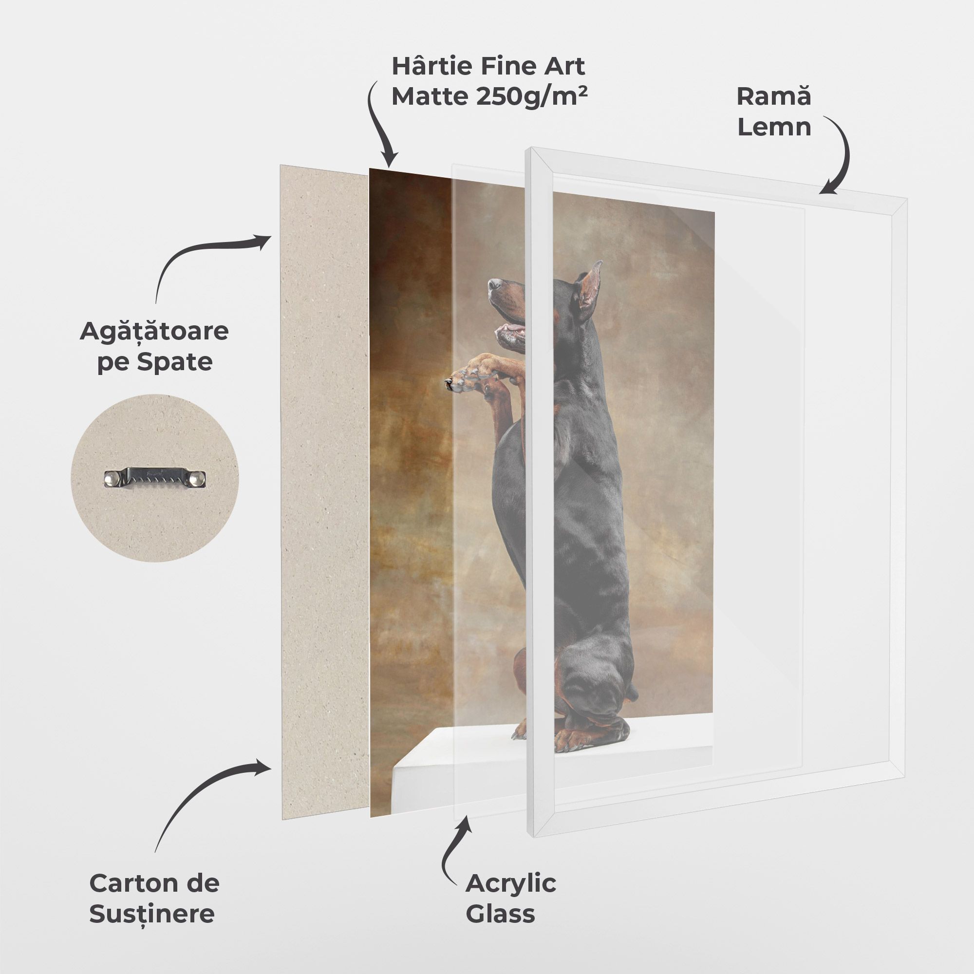 Doberman Standing mockup 1