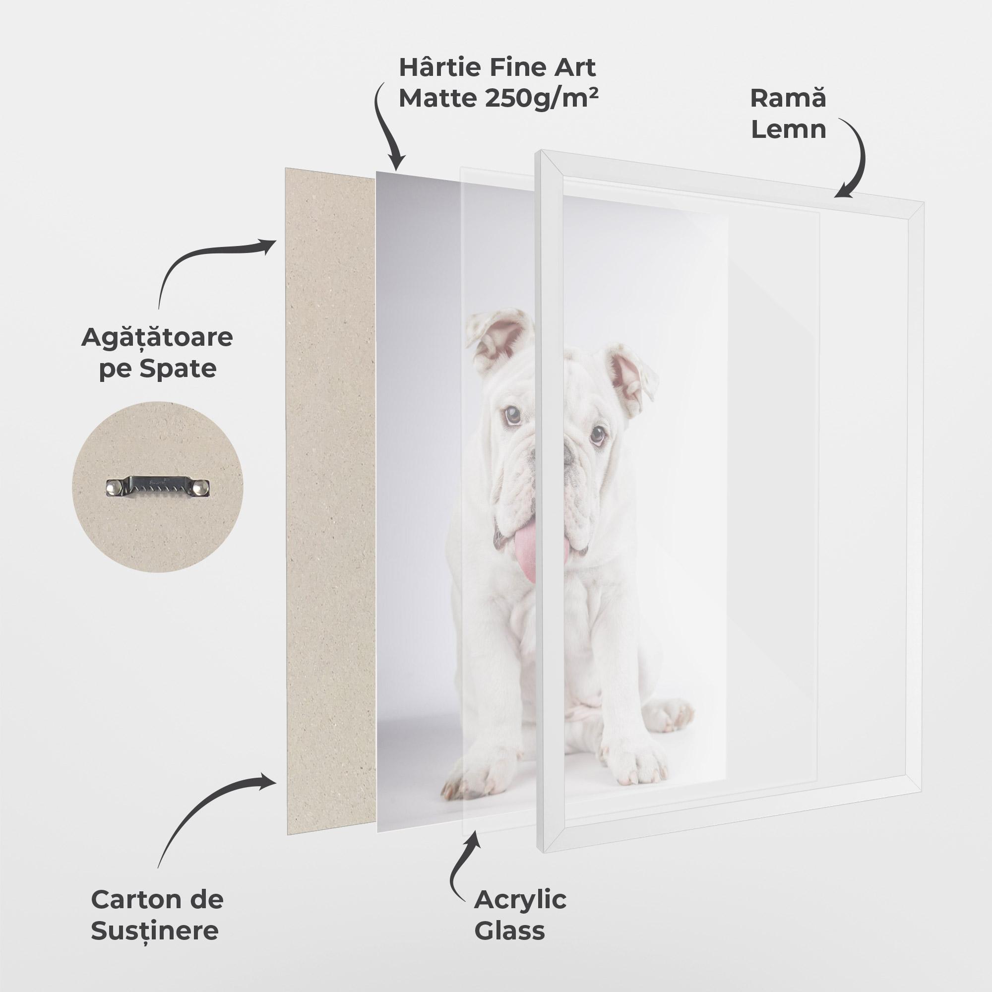 Poster Înrămat English Bulldog mockup 1