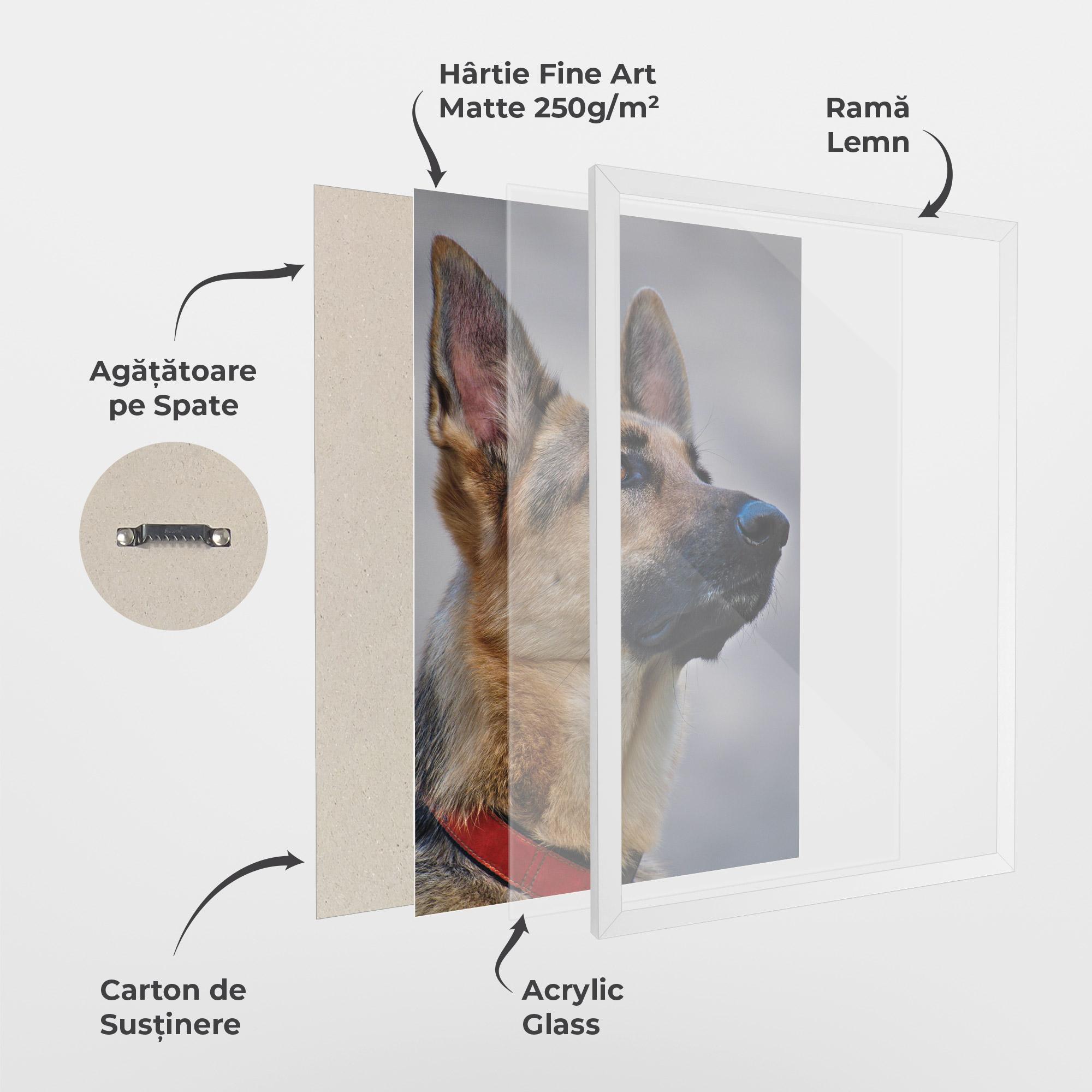 Poster Înrămat German Shepherd mockup 1