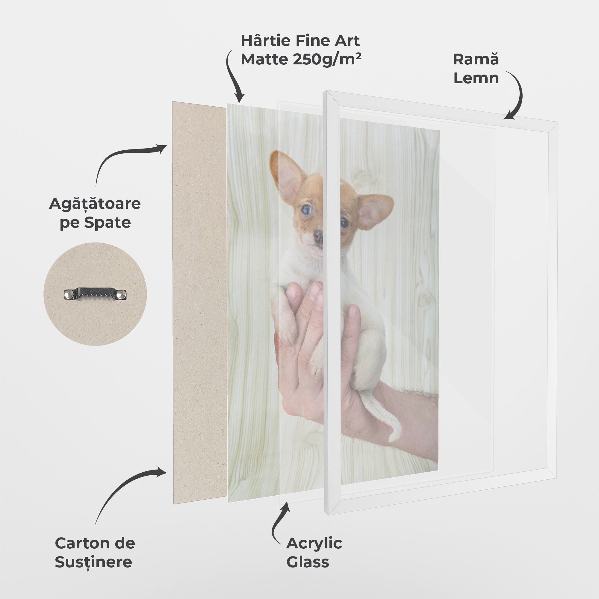 Holding Chihuahua mockup 1