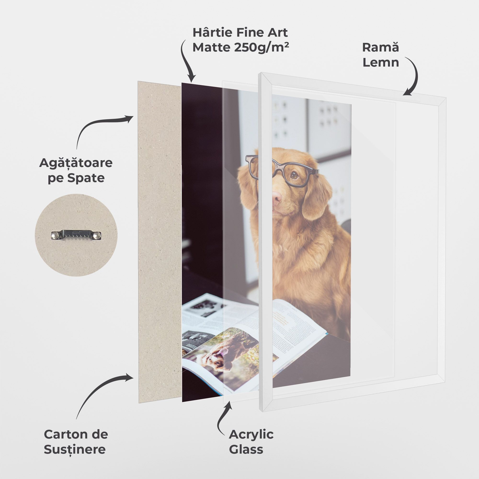 Learning Dog mockup 1