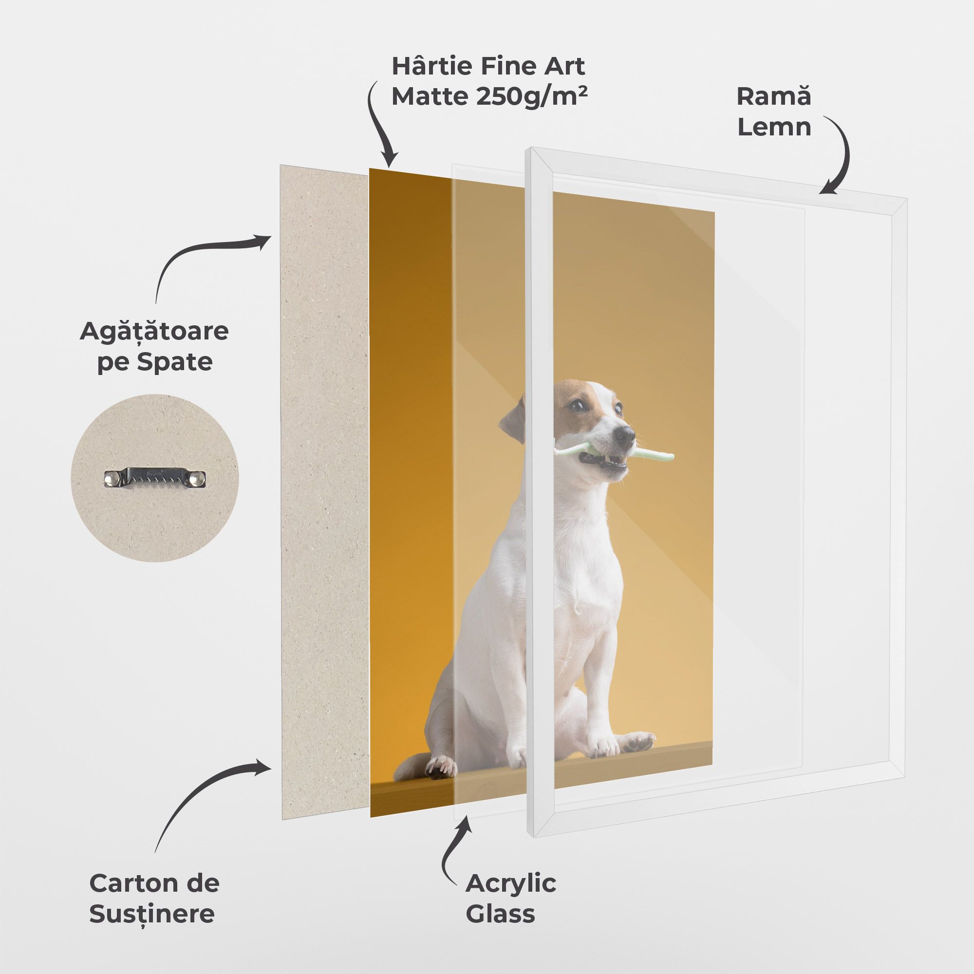 Toothbrush Dog mockup 1