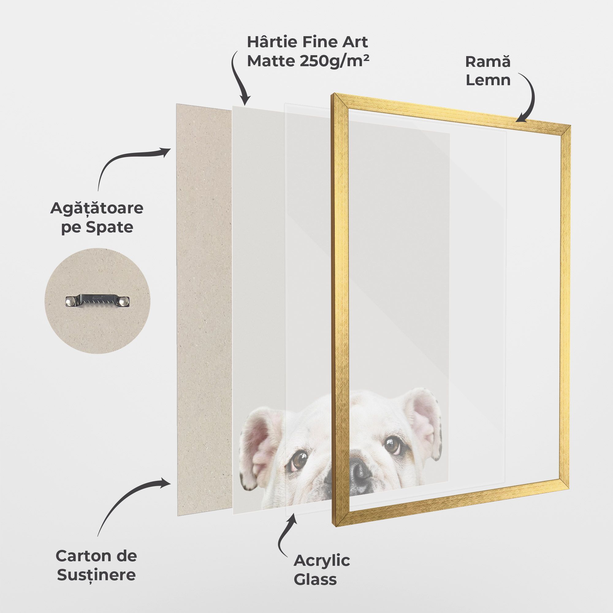 Bulldog Eyes mockup 1