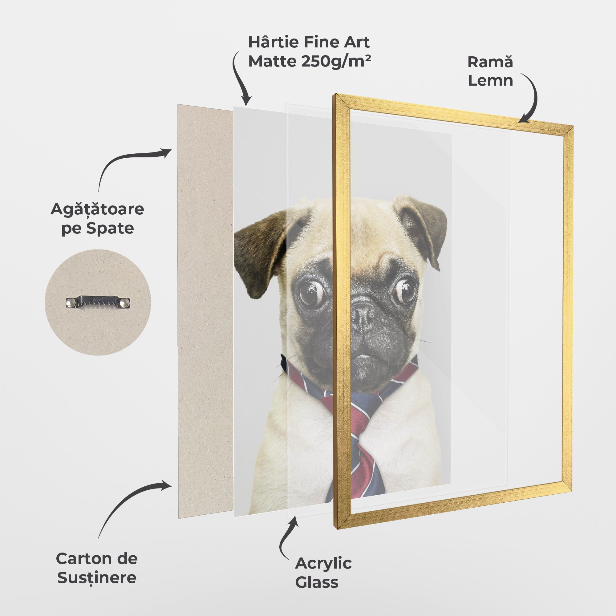 Business Pug mockup 1