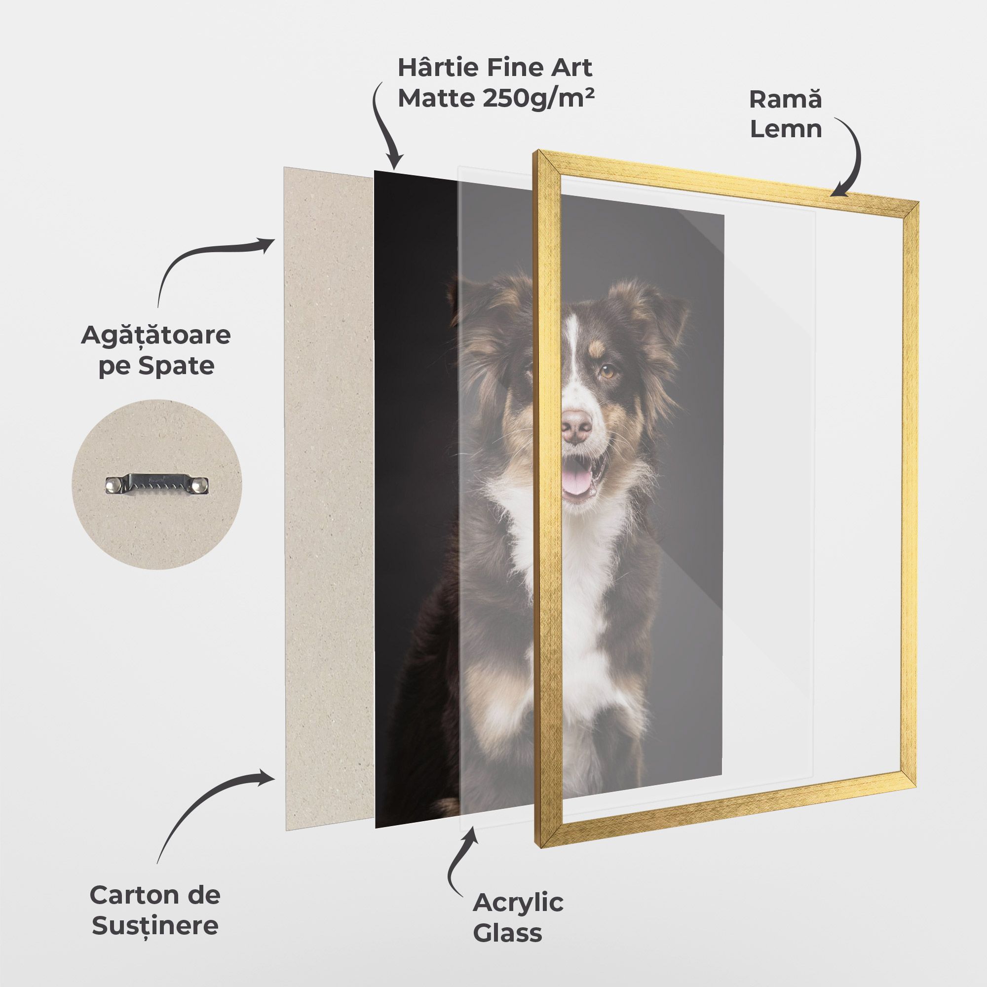 Cute Dog Sitting mockup 1