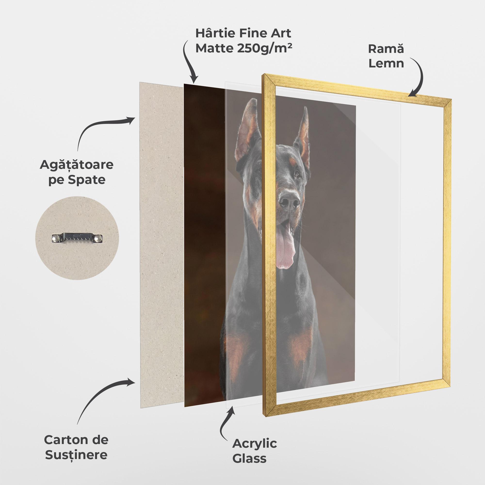 Poster Înrămat Doberman Looking mockup 1