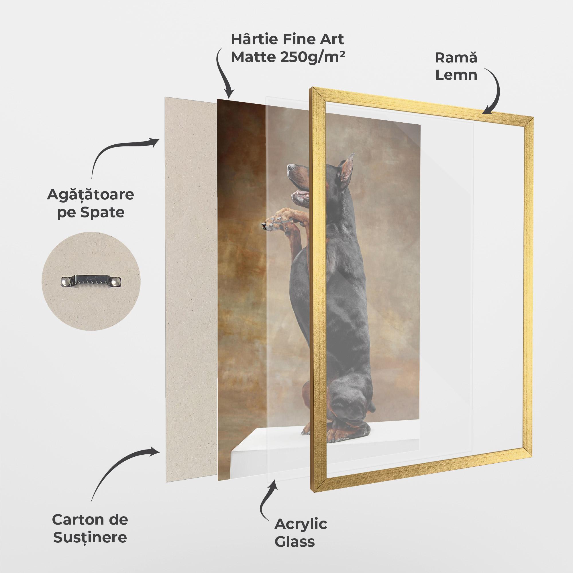 Poster Înrămat Doberman Standing mockup 1