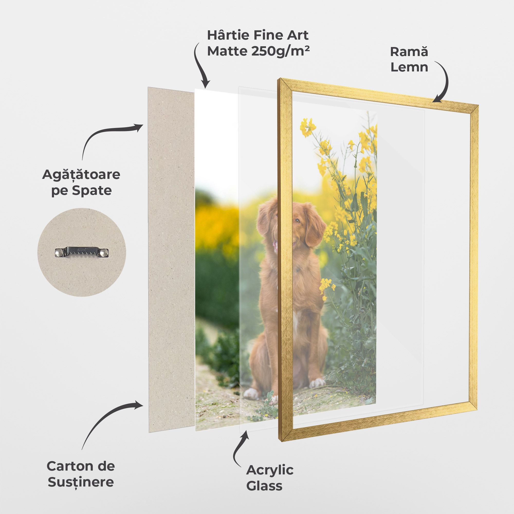 Dog Yellow Flowers mockup 1