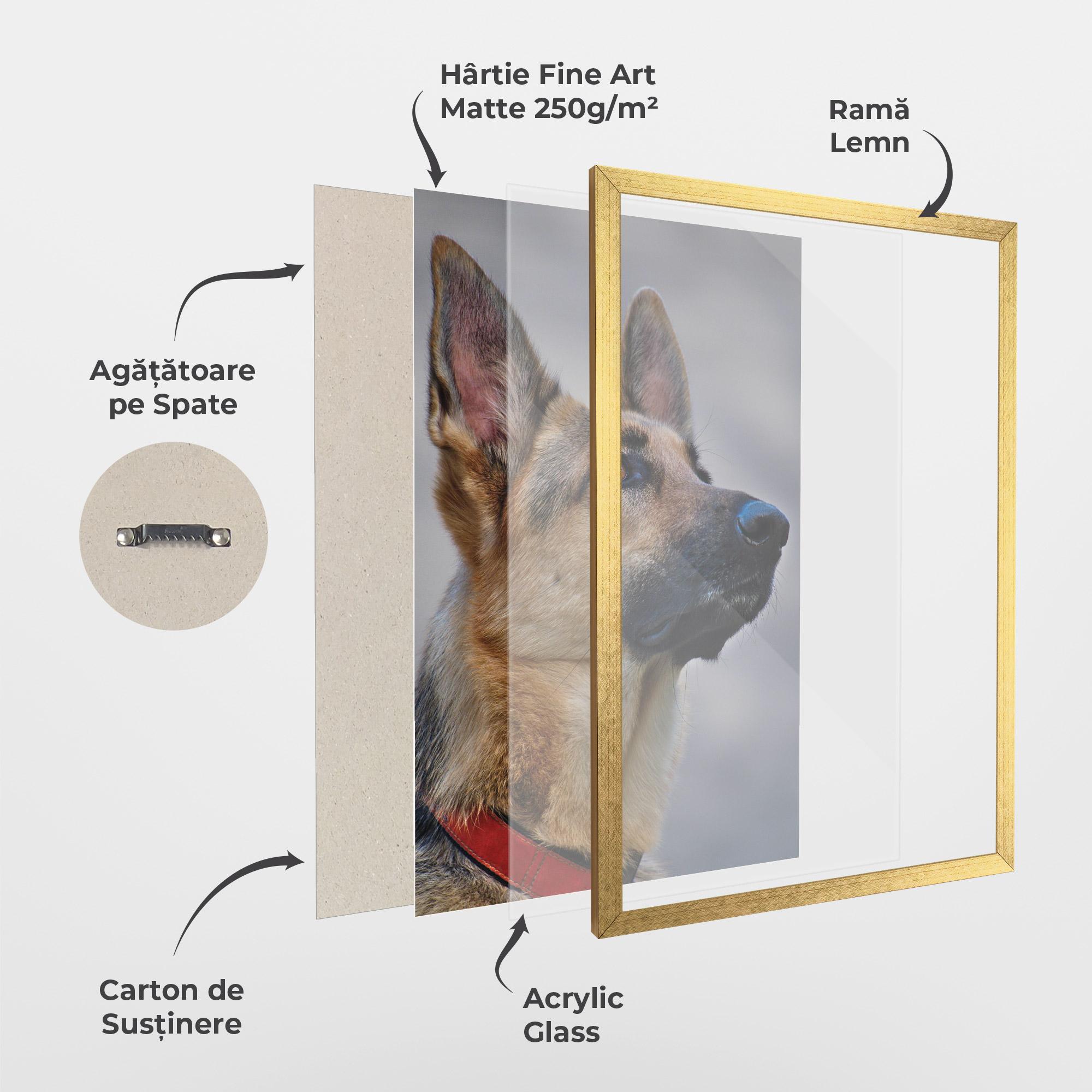 Poster Înrămat German Shepherd mockup 1