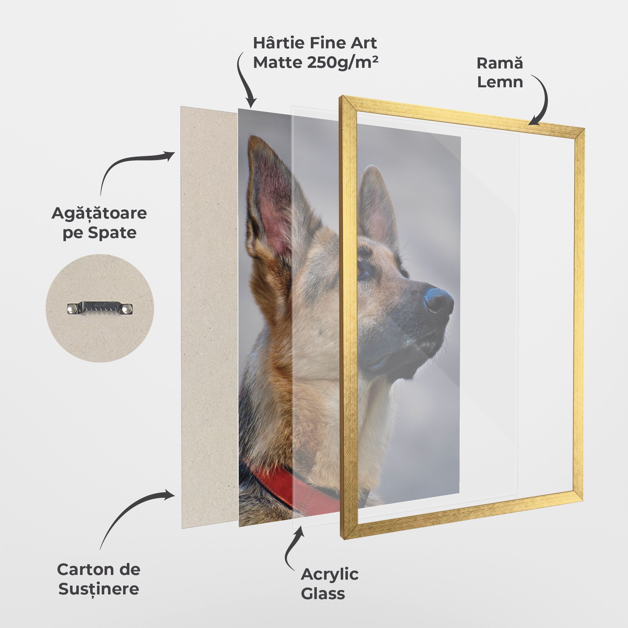 German Shepherd mockup 1